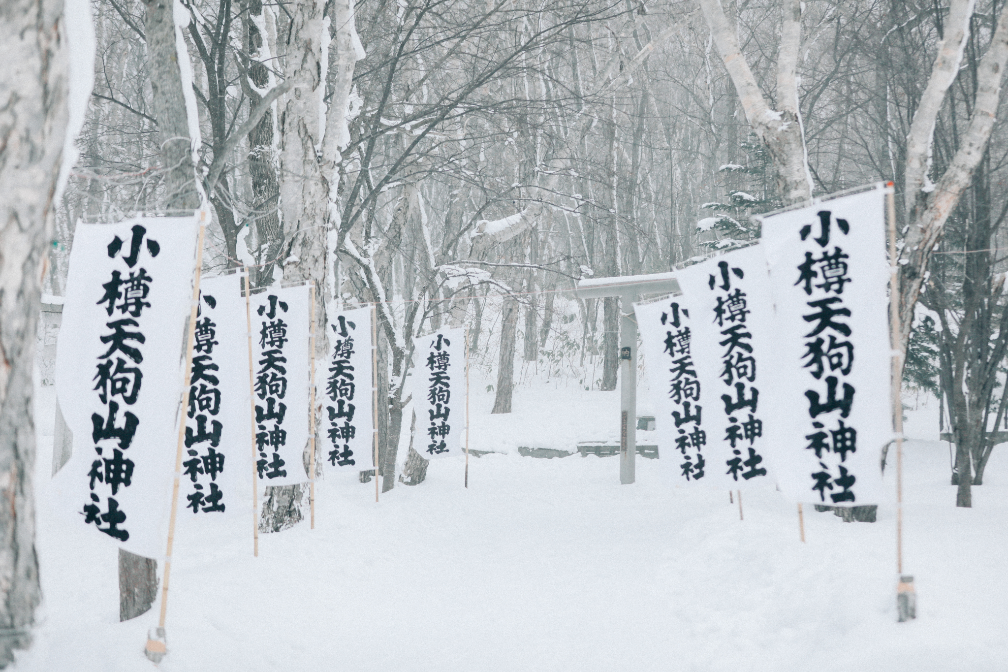 北海道自助遊攻略