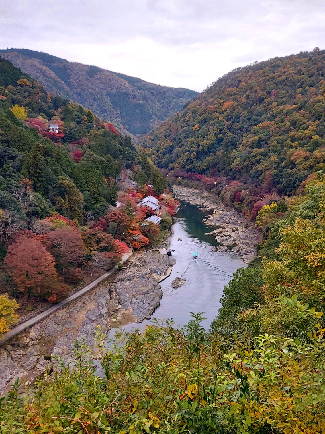 京都自助遊攻略