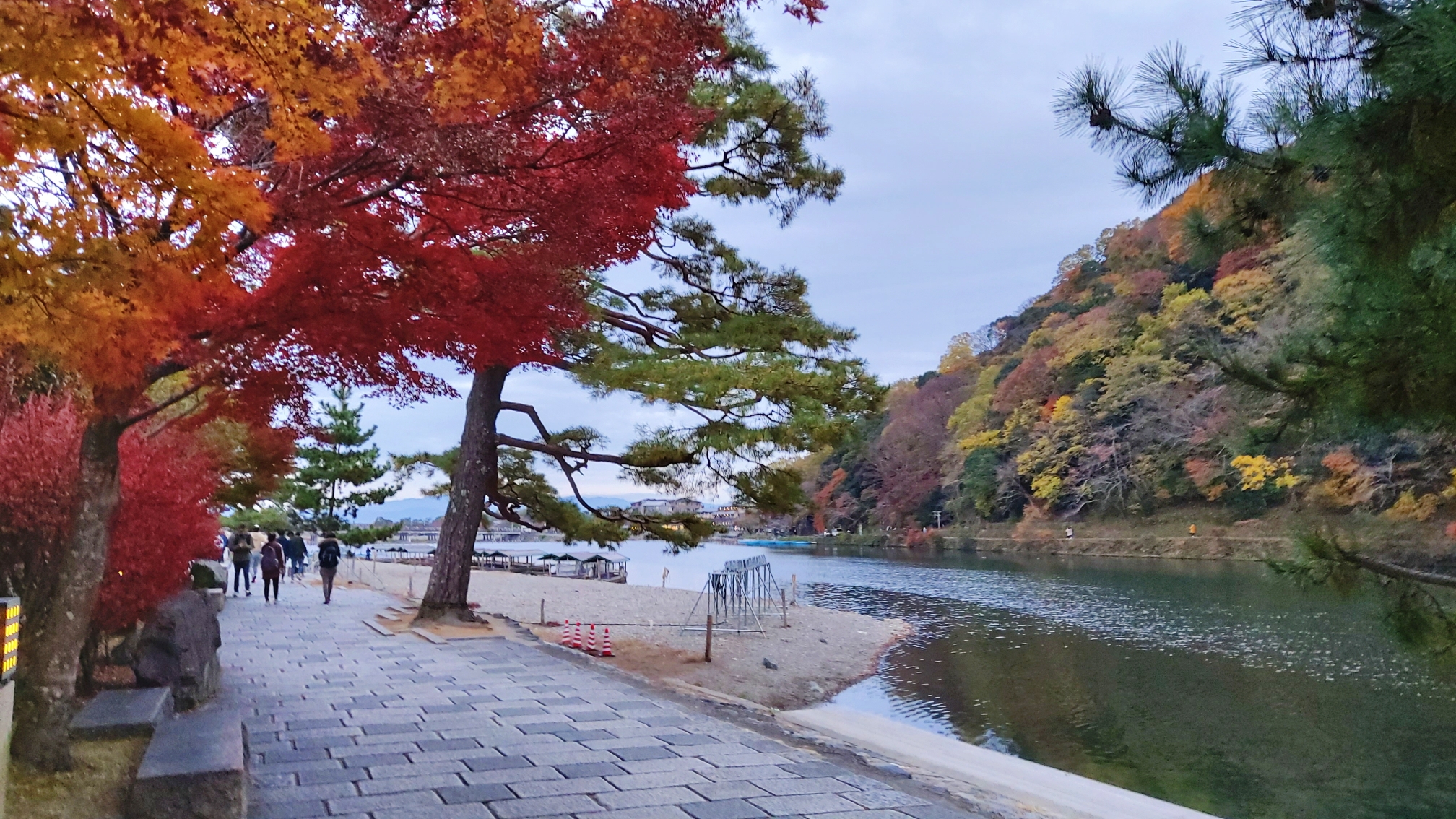 京都自助遊攻略