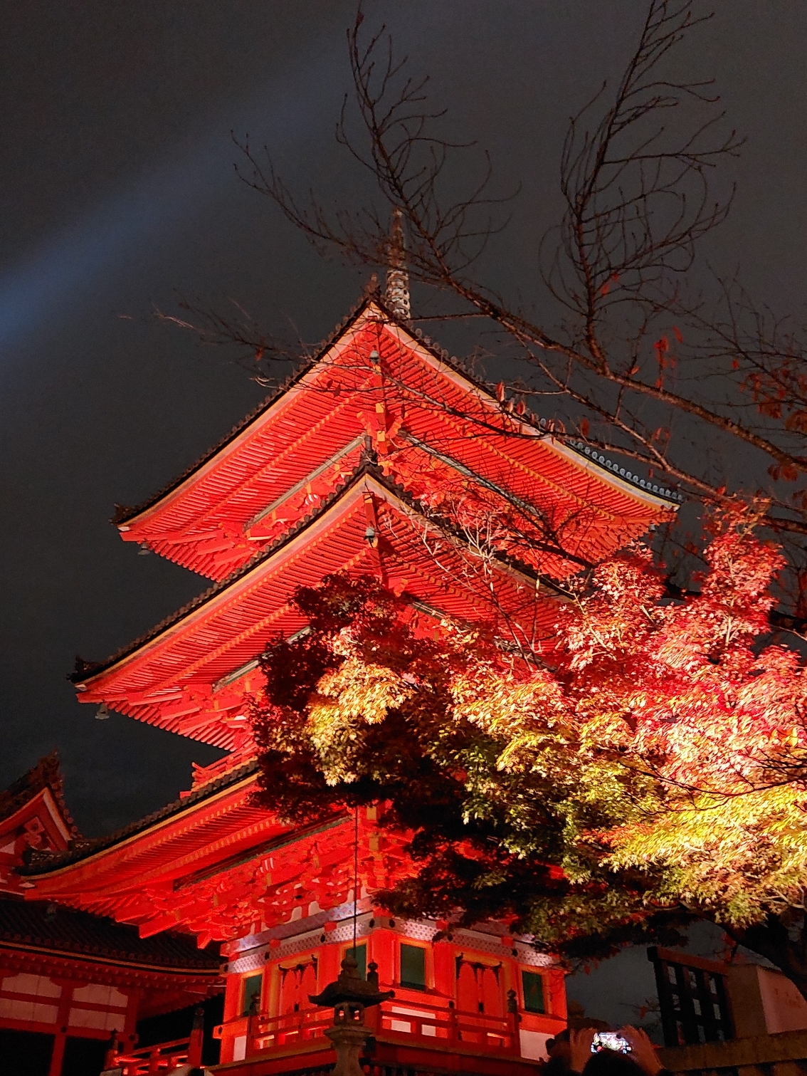 京都自助遊攻略