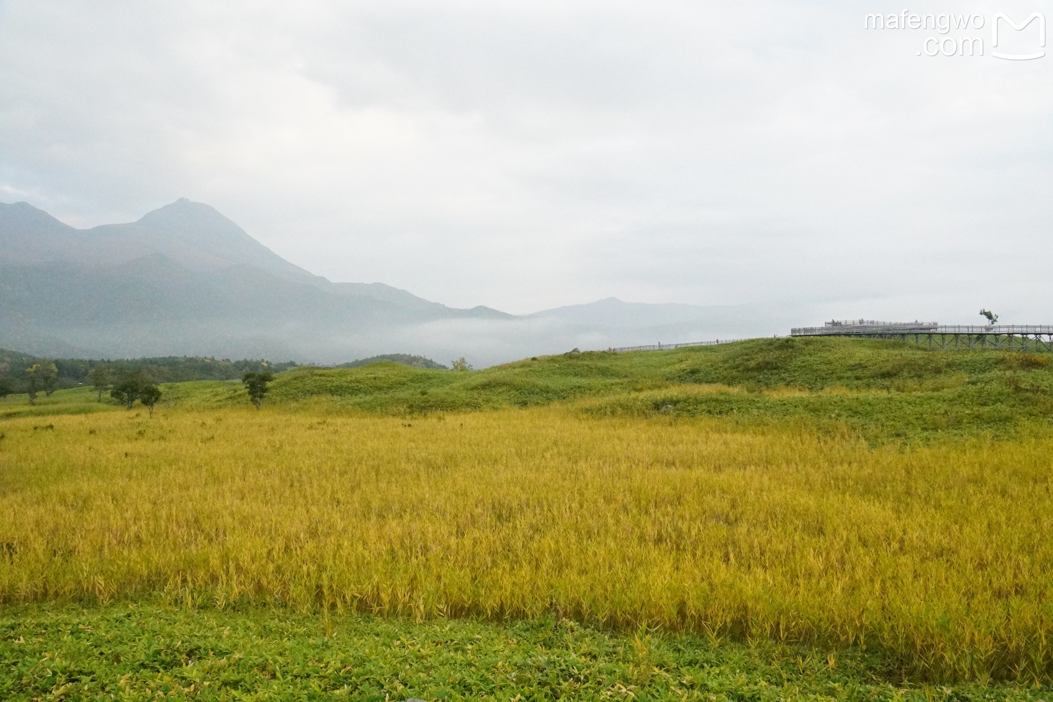 北海道自助遊攻略