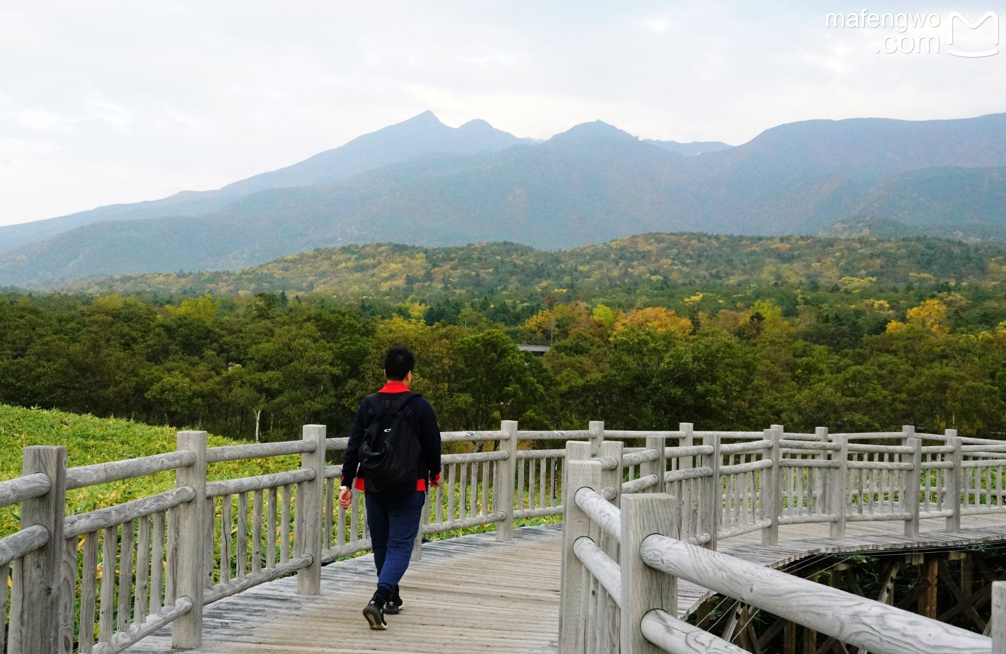 北海道自助遊攻略