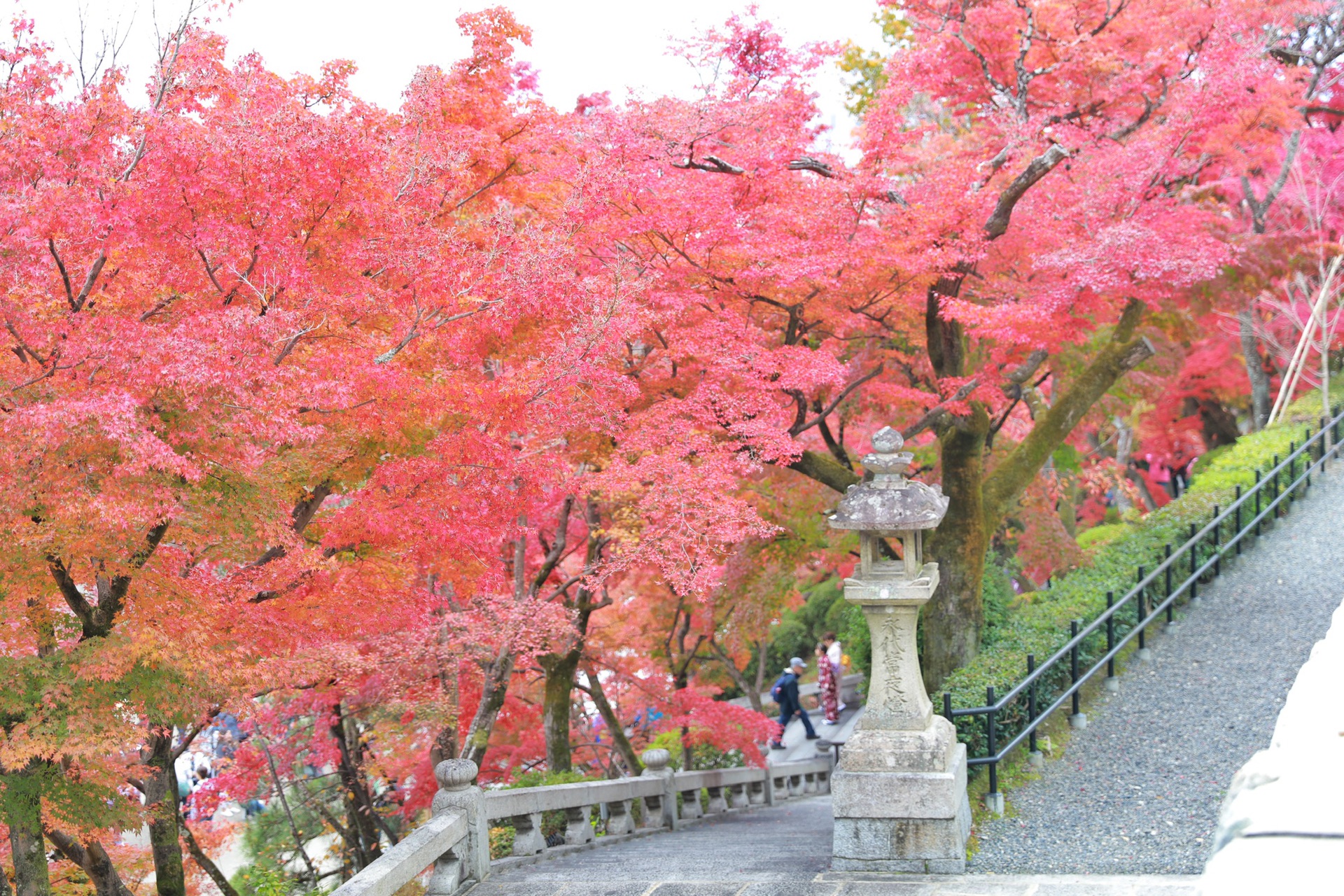 京都自助遊攻略