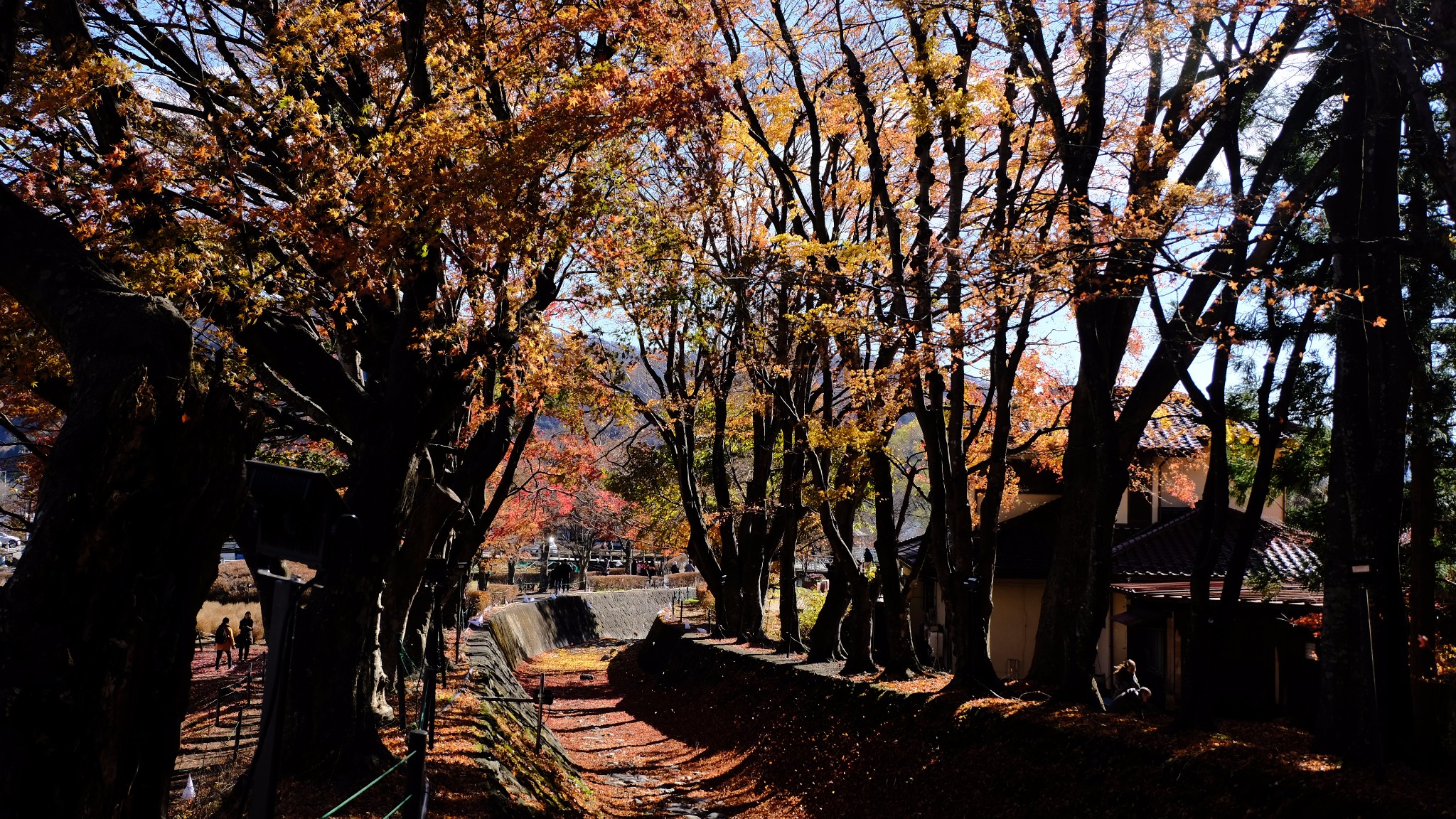 東京自助遊攻略