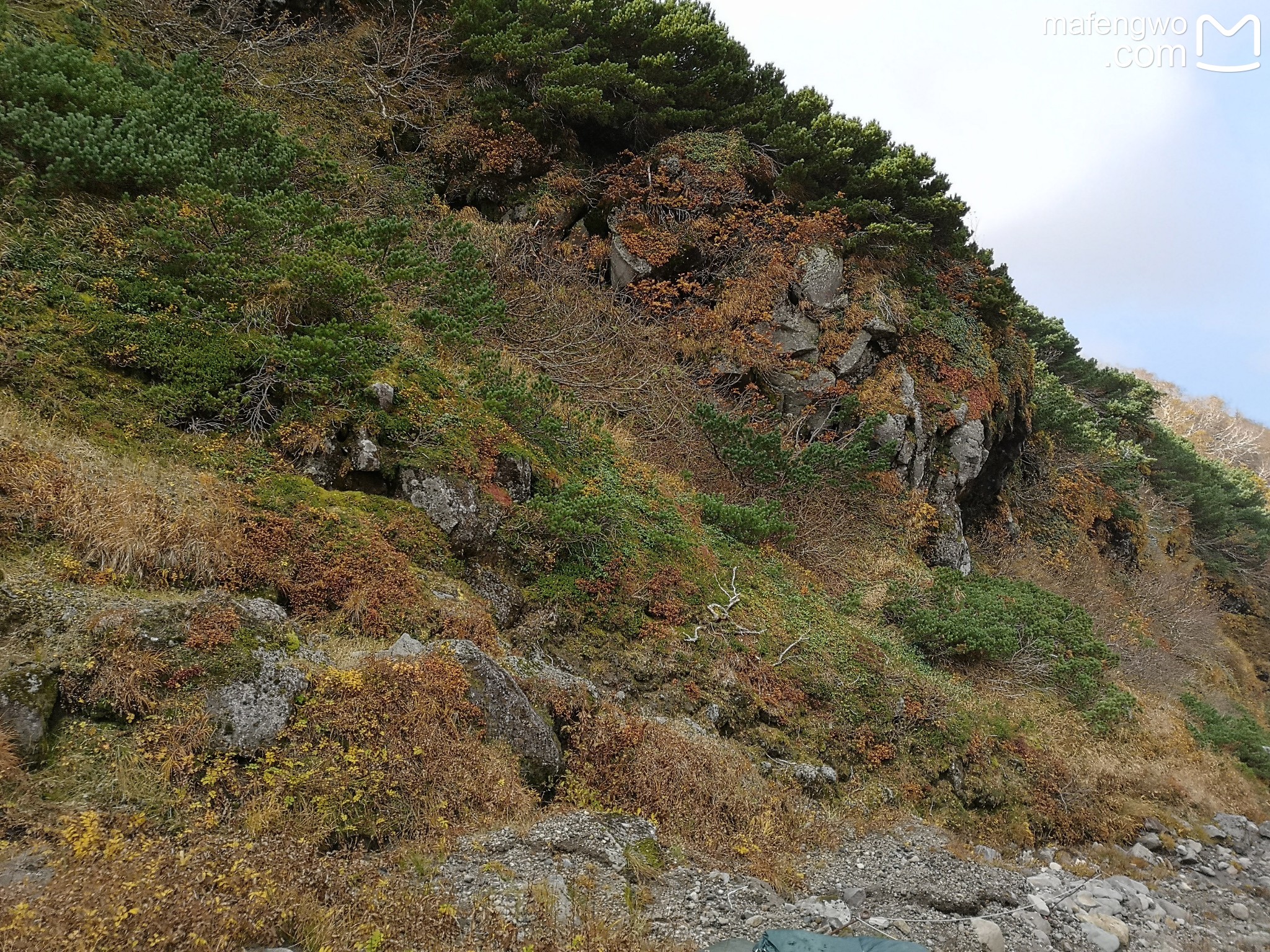 北海道自助遊攻略