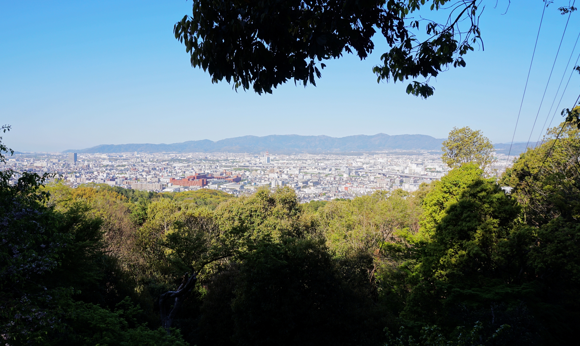 京都自助遊攻略