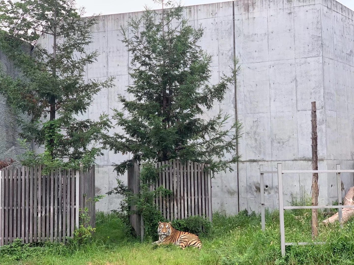 北海道自助遊攻略