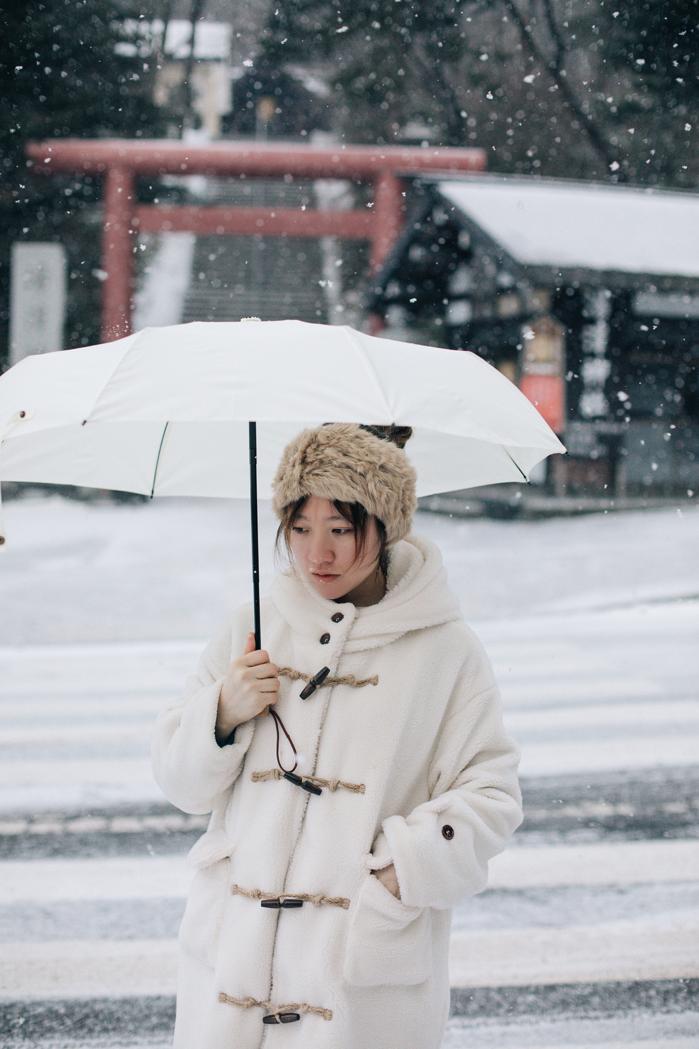 北海道自助遊攻略