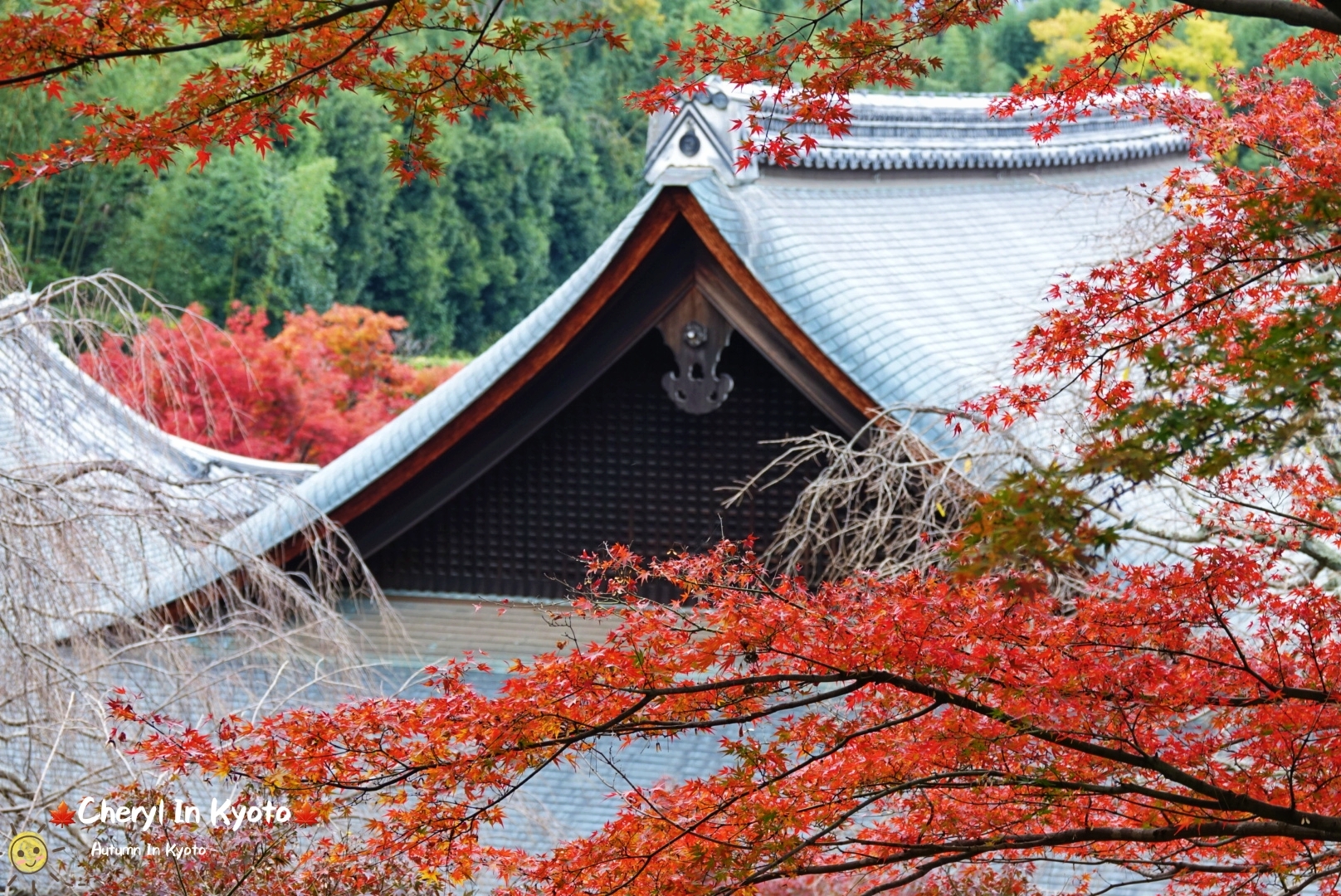 京都自助遊攻略