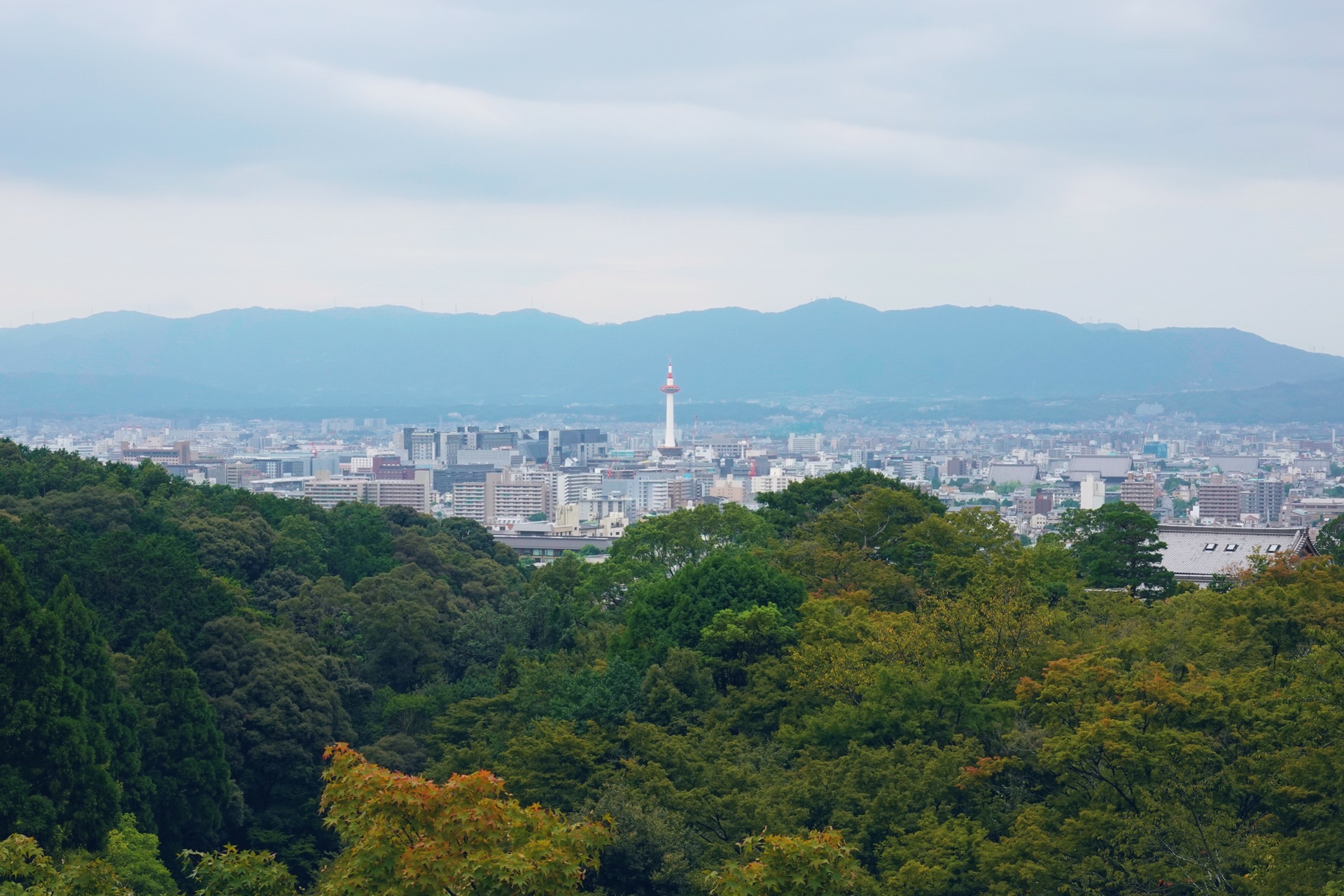 京都自助遊攻略