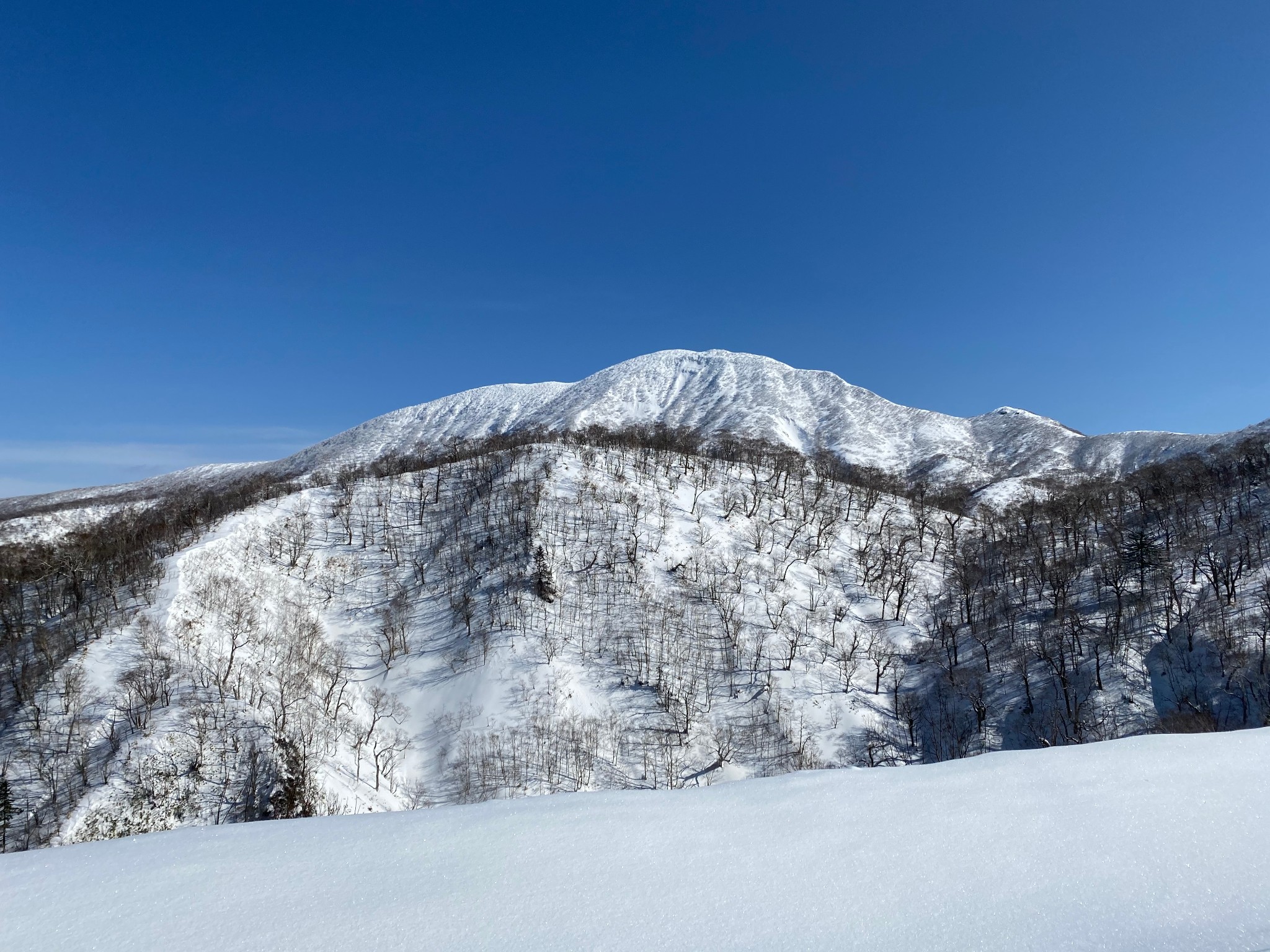 北海道自助遊攻略