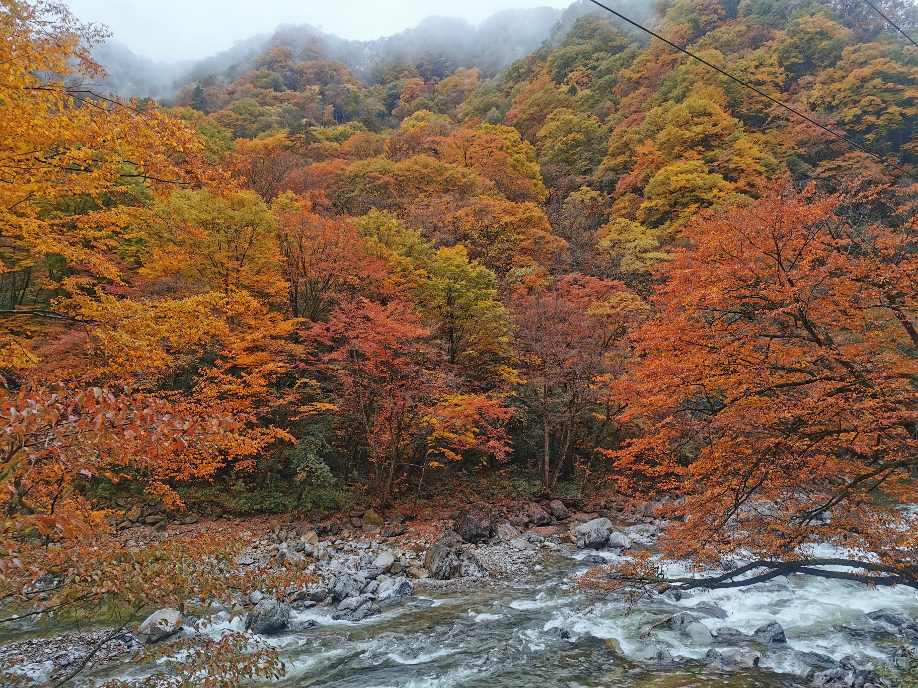 川东北赏秋小环线 记光雾山及鸳鸯池林场,南江旅游攻略 马蜂窝