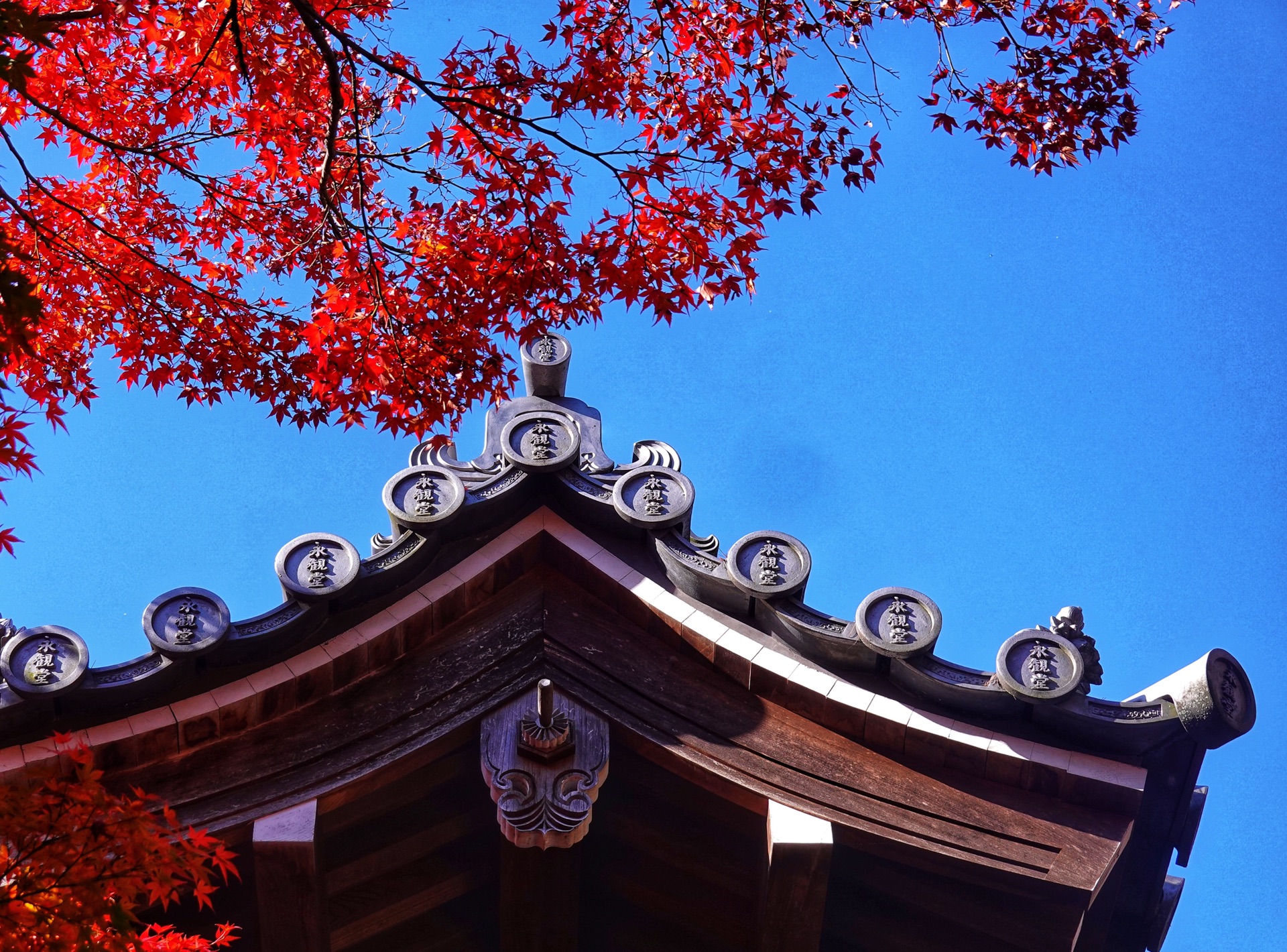 京都自助遊攻略