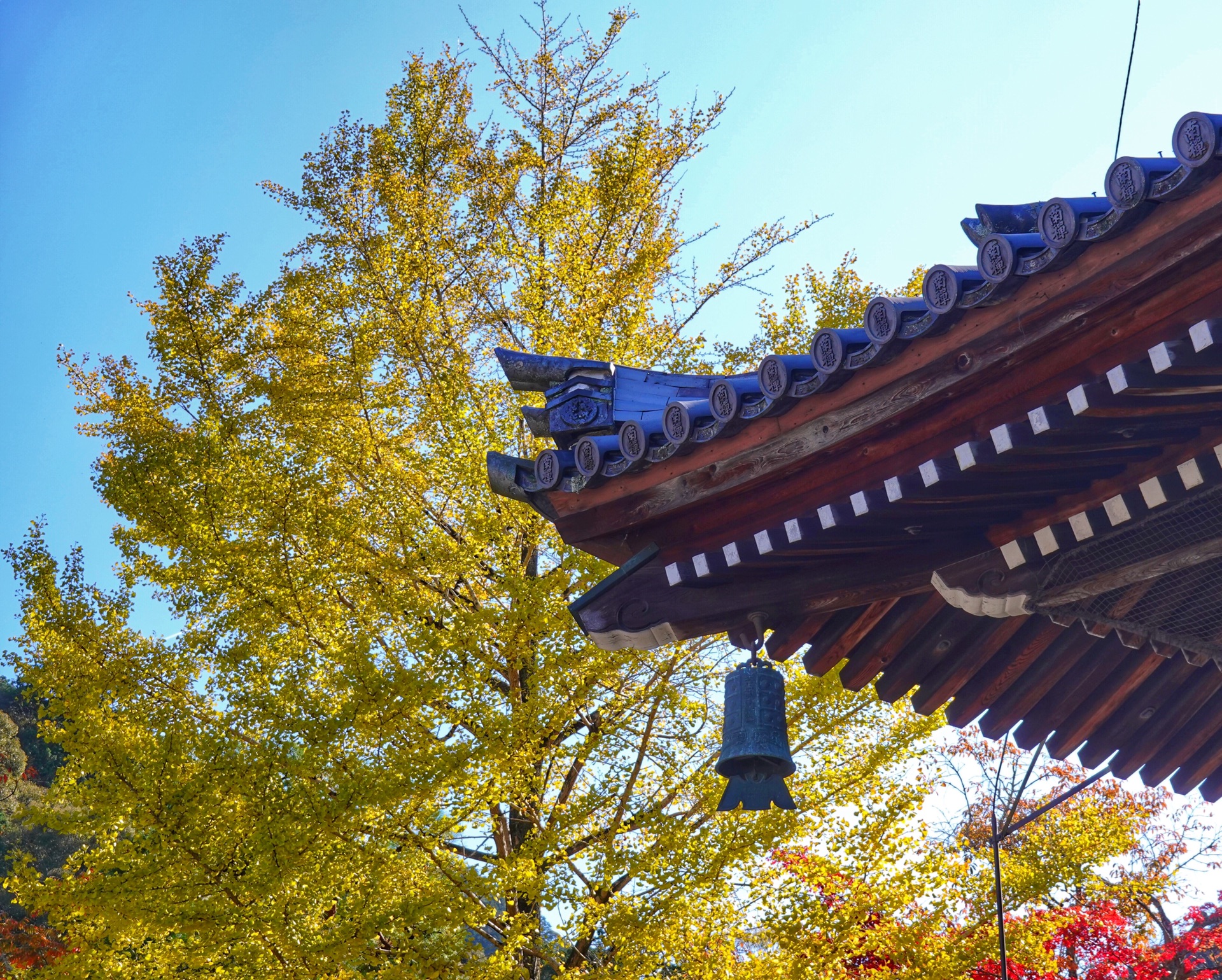 京都自助遊攻略