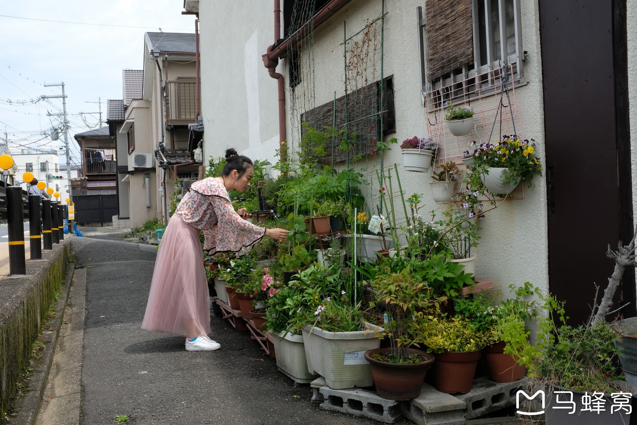 京都自助遊攻略