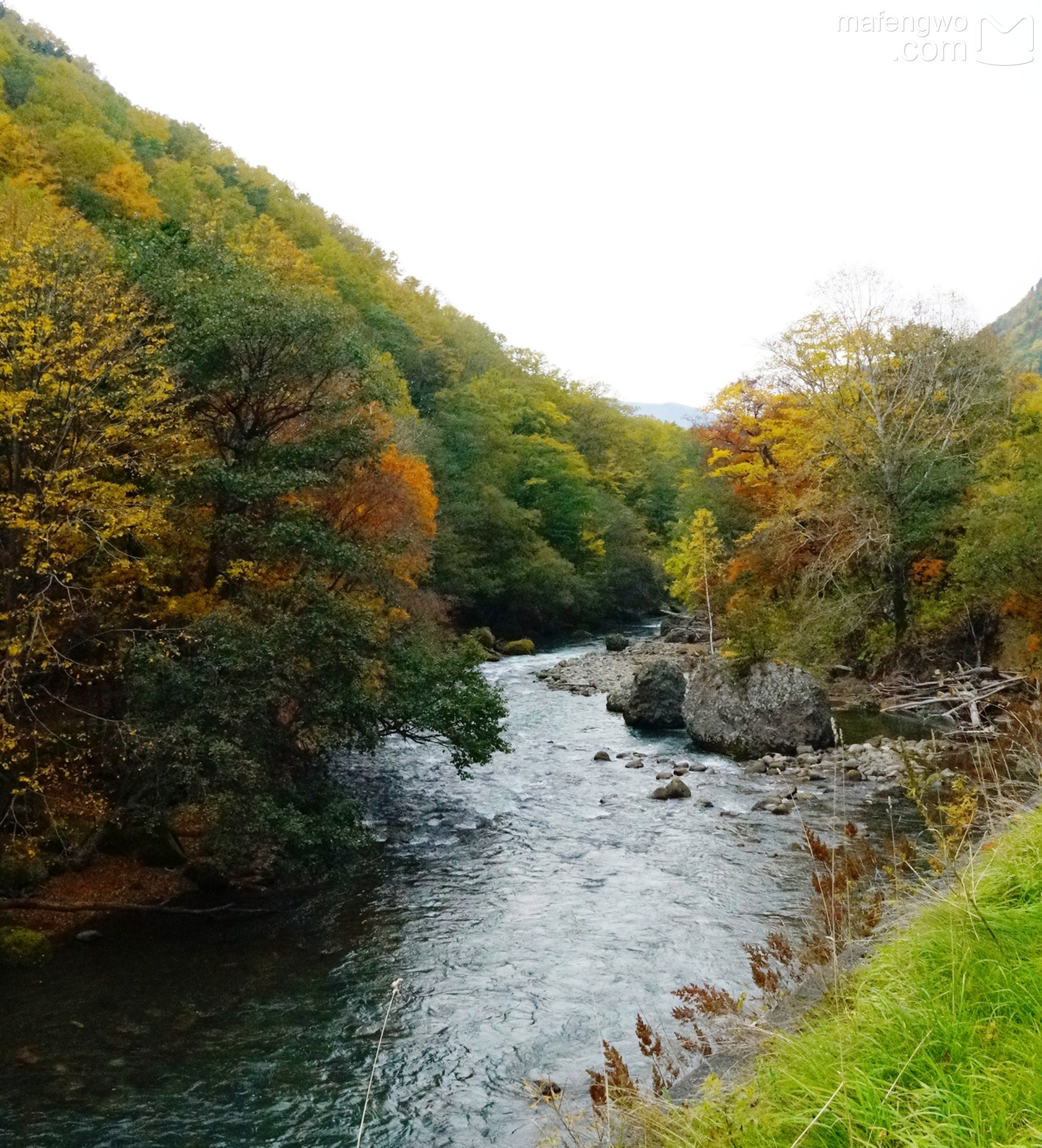 北海道自助遊攻略