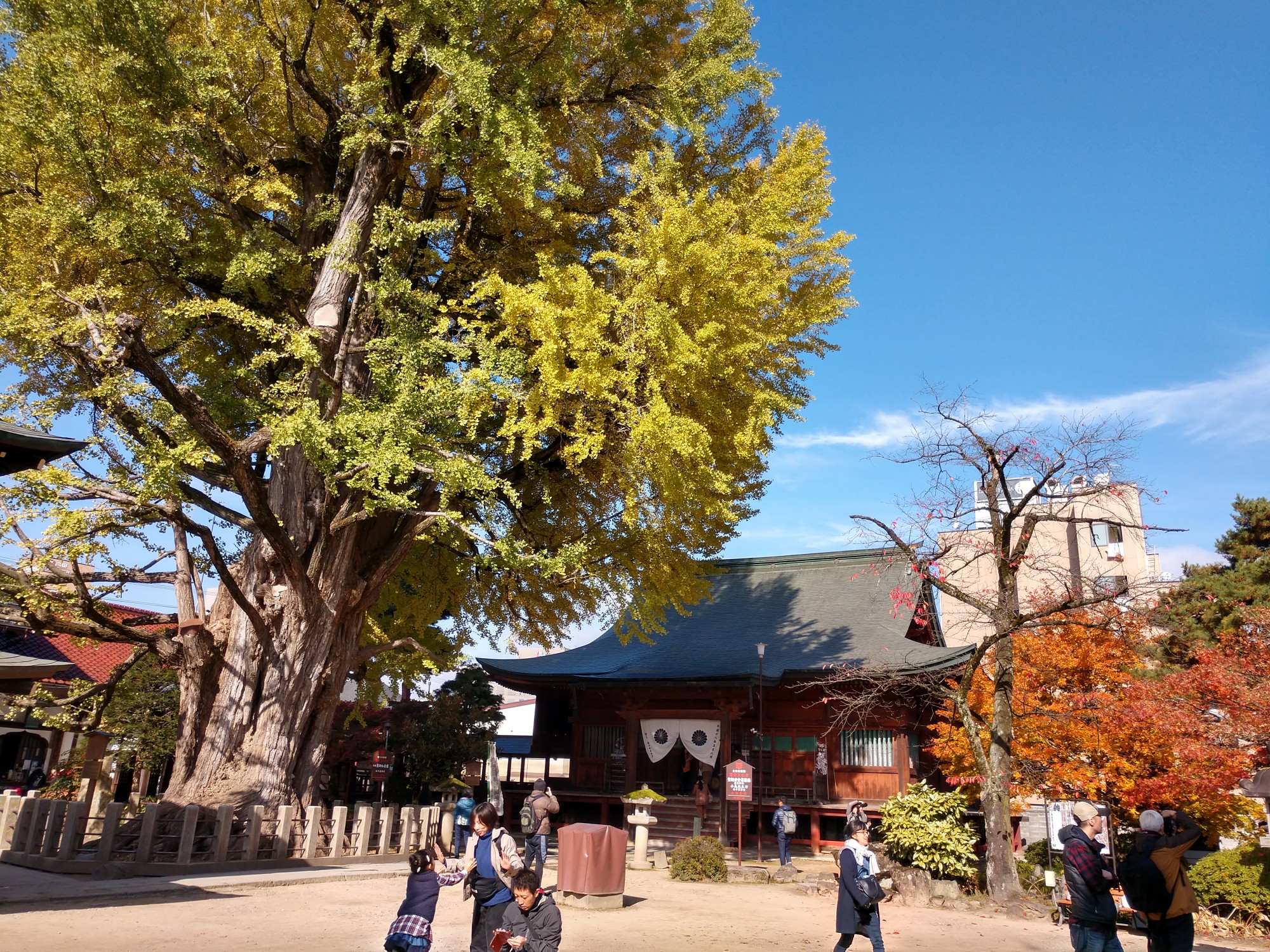 名古屋自助遊攻略