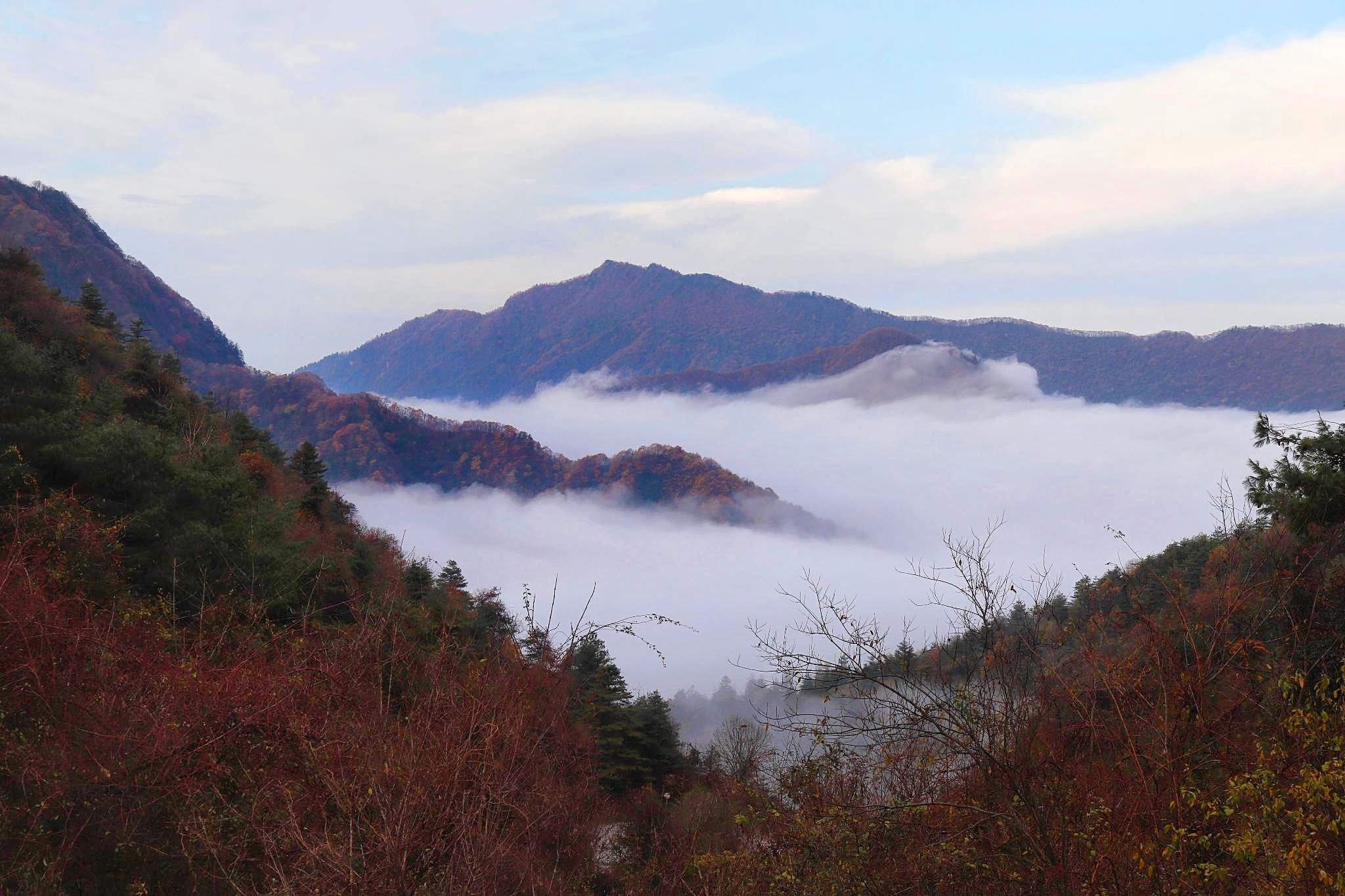 漢中掠影(川陝交界自駕遊之四),漢中旅遊攻略 - 馬蜂窩