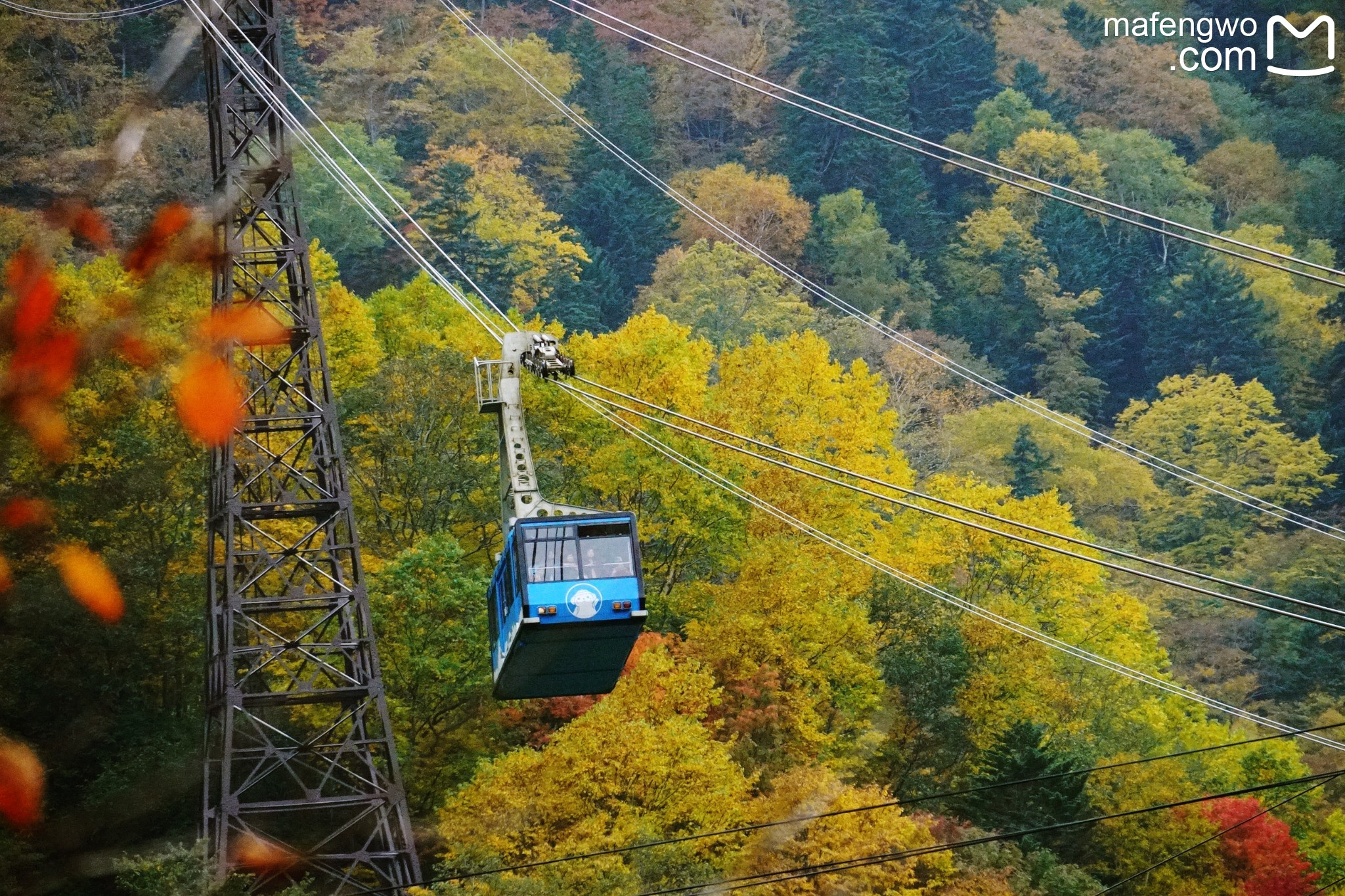 北海道自助遊攻略