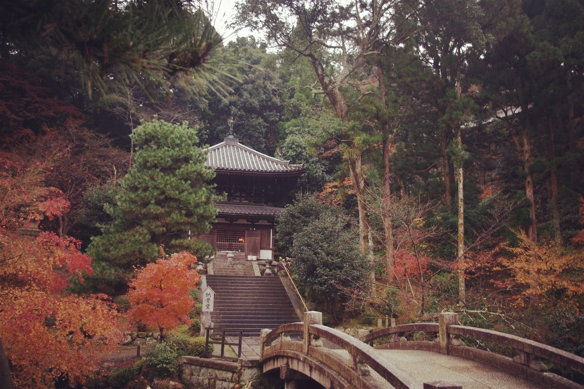 京都自助遊攻略