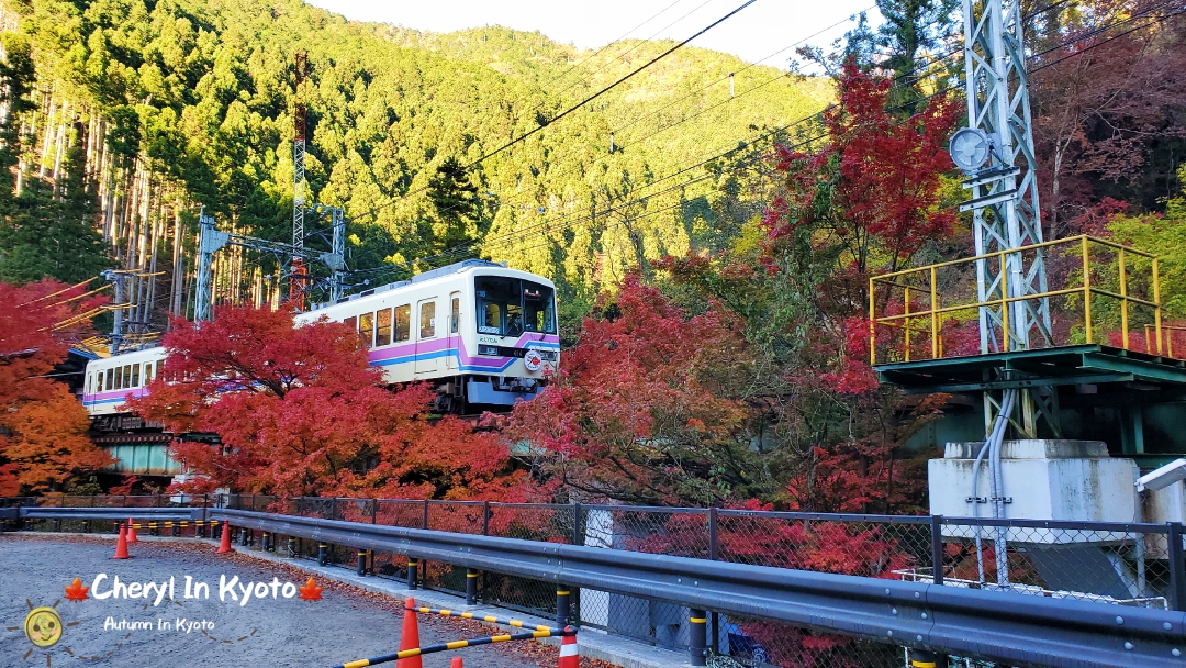 京都自助遊攻略