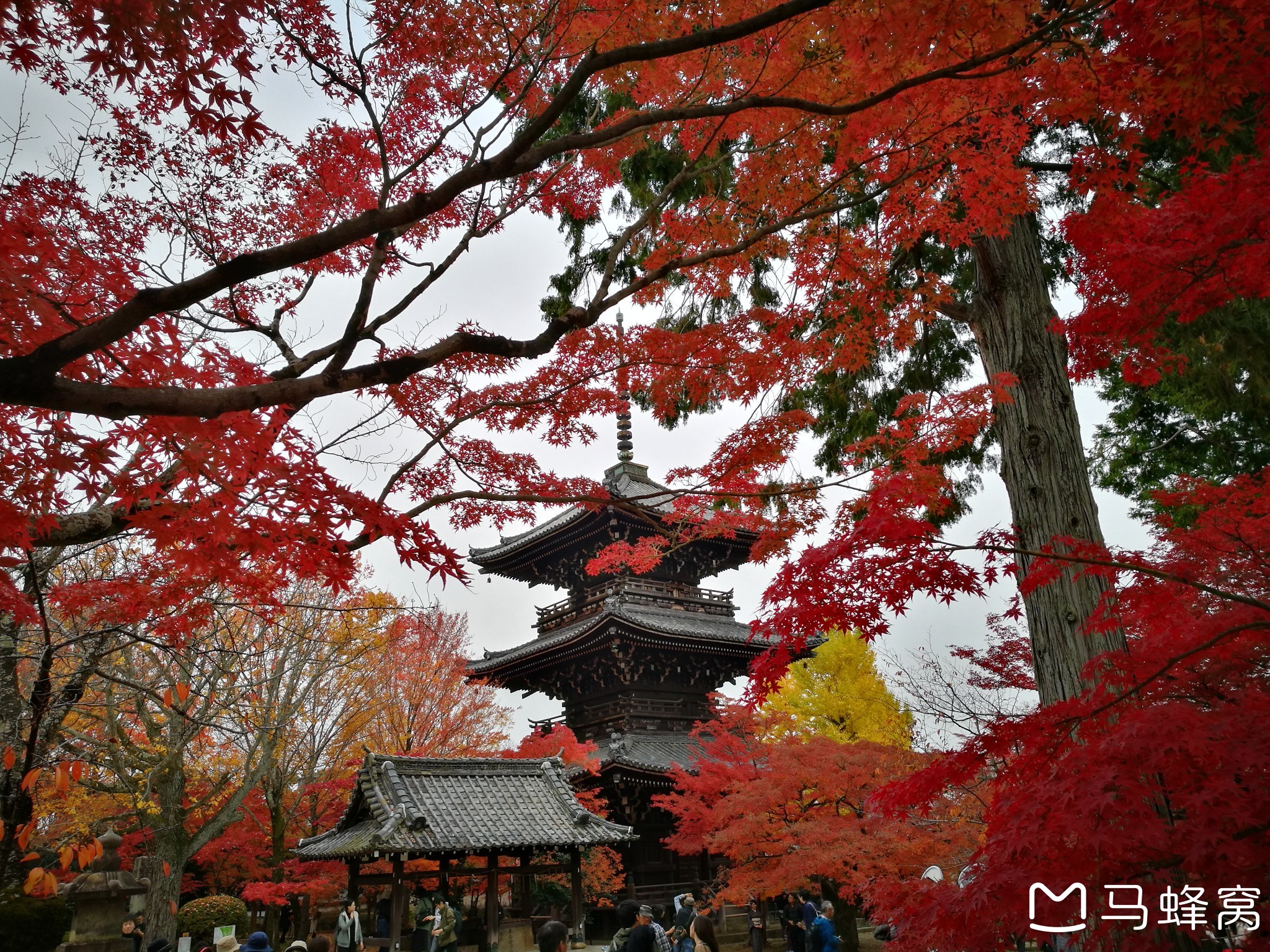 京都自助遊攻略