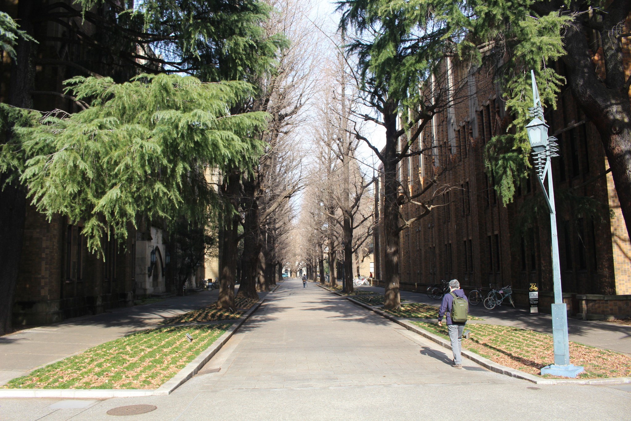 東京自助遊攻略