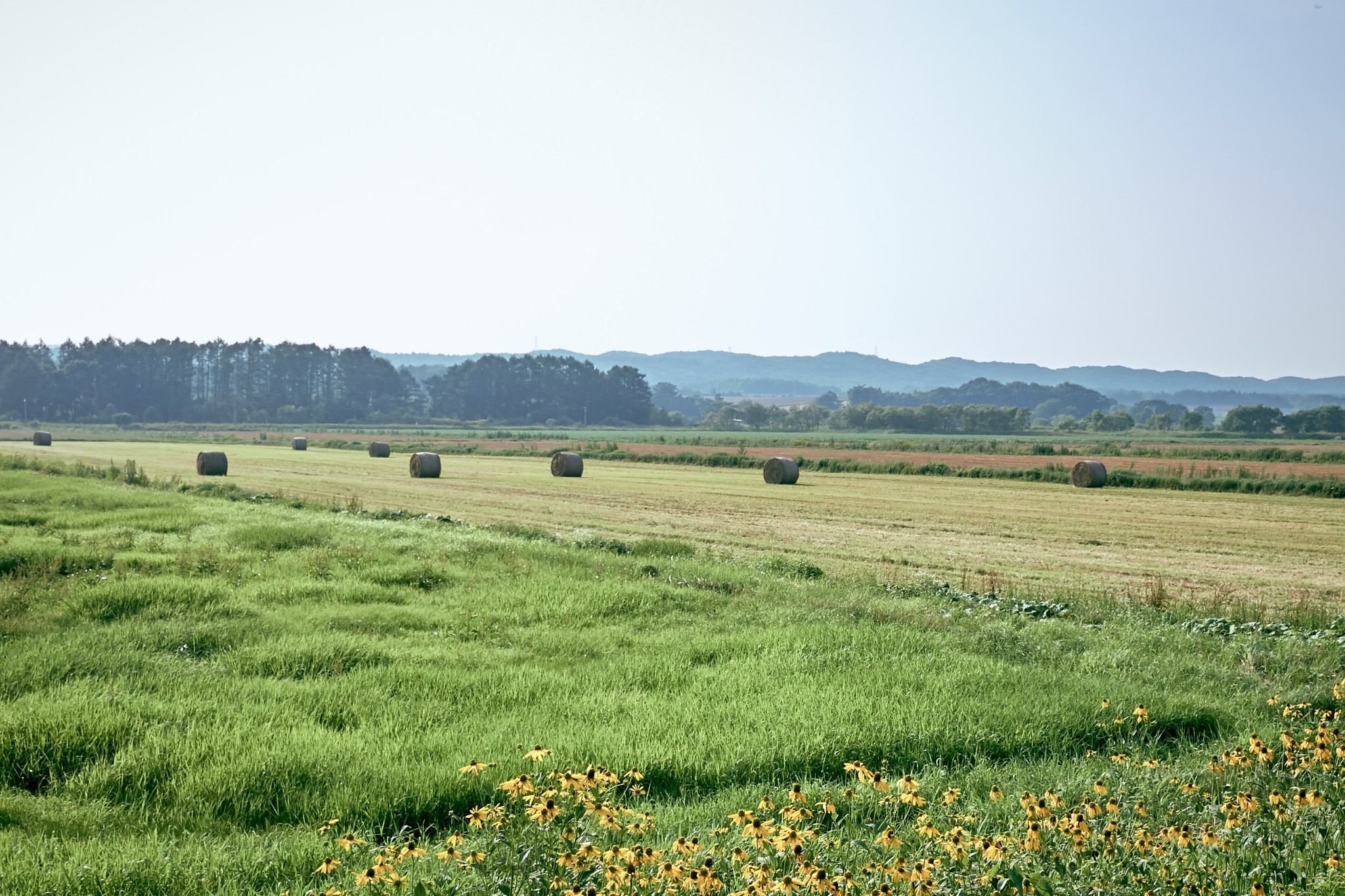 北海道自助遊攻略