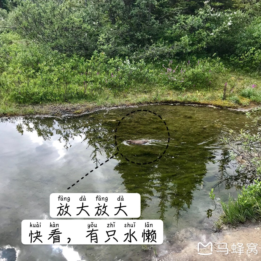 加拿大自助遊攻略