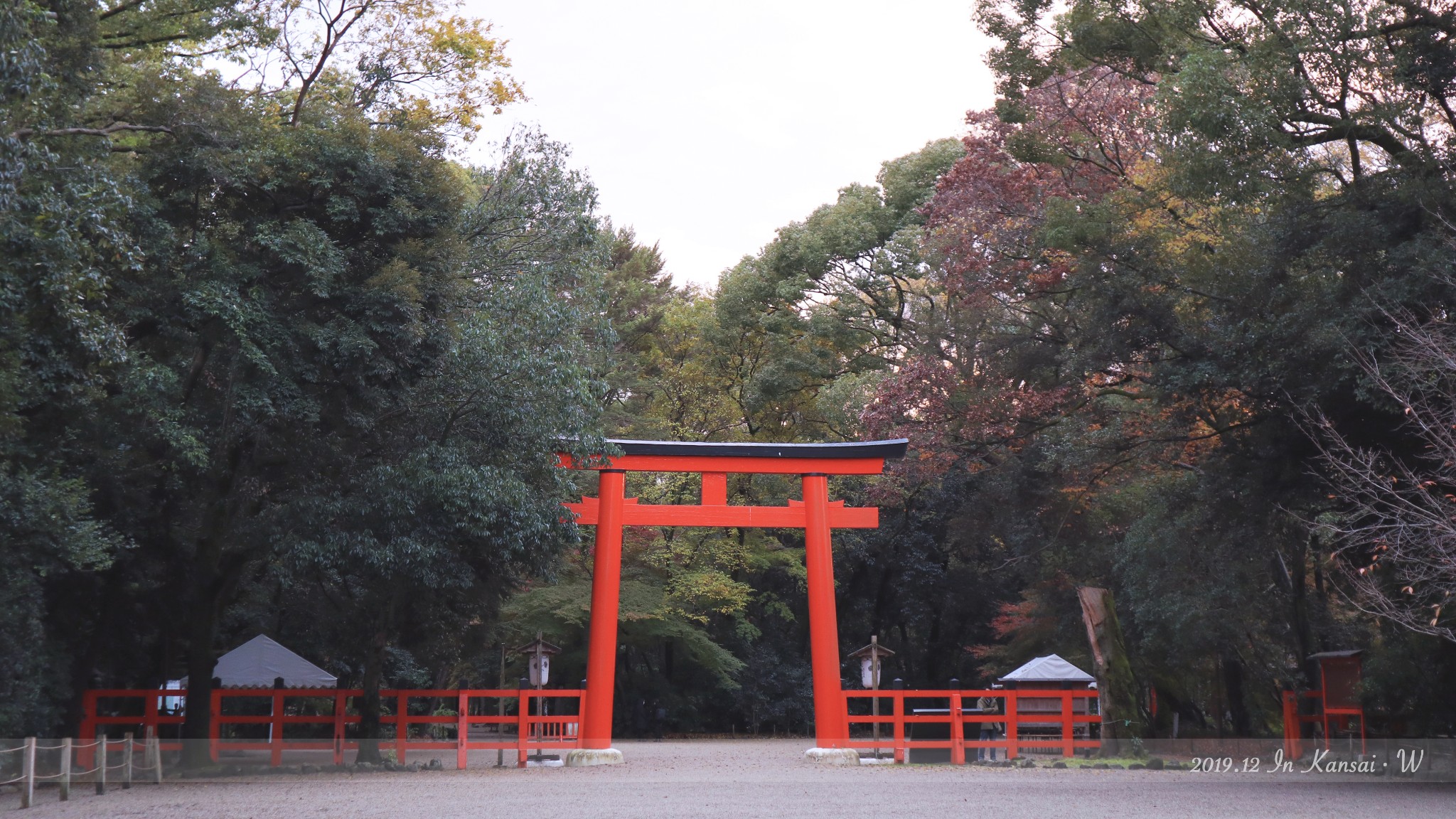 京都自助遊攻略