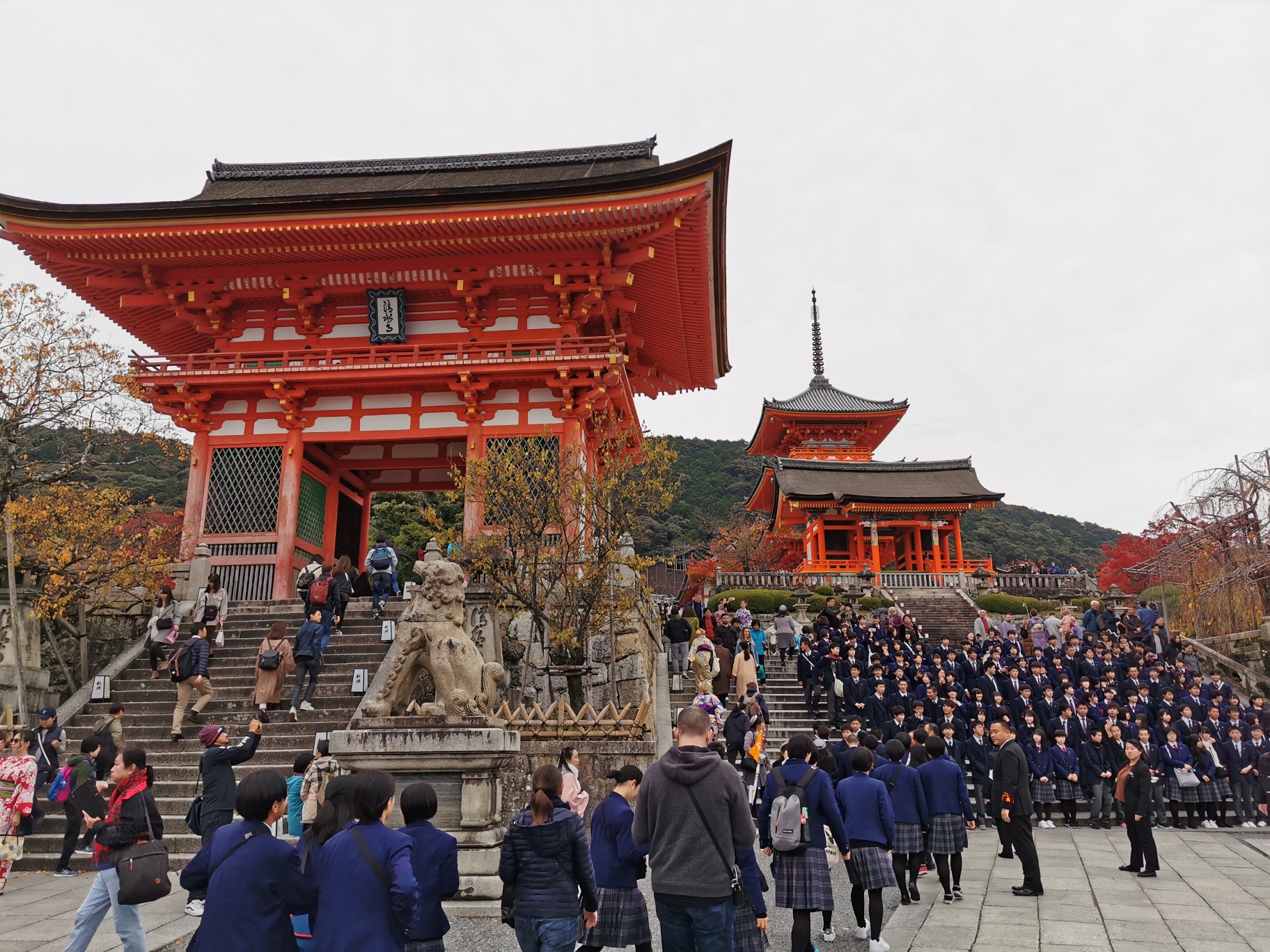 京都自助遊攻略