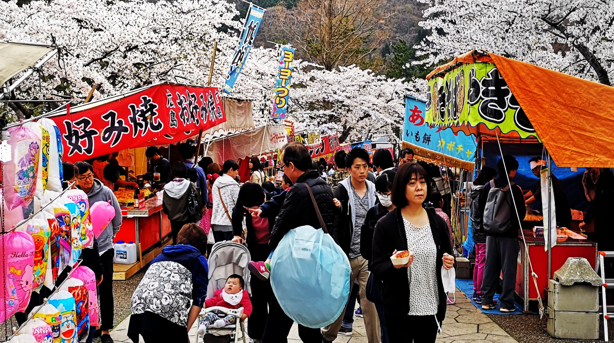 北海道自助遊攻略