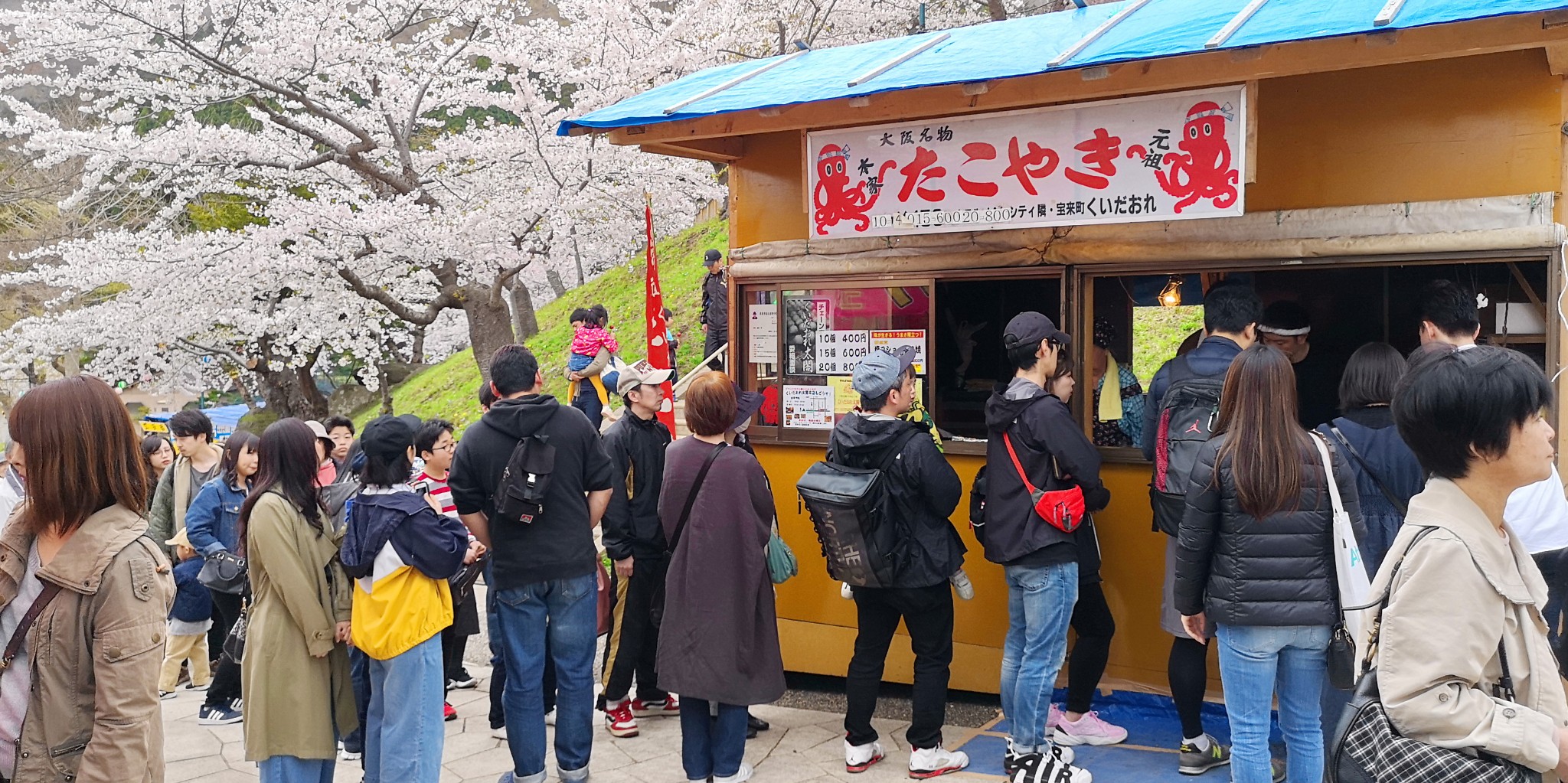 北海道自助遊攻略