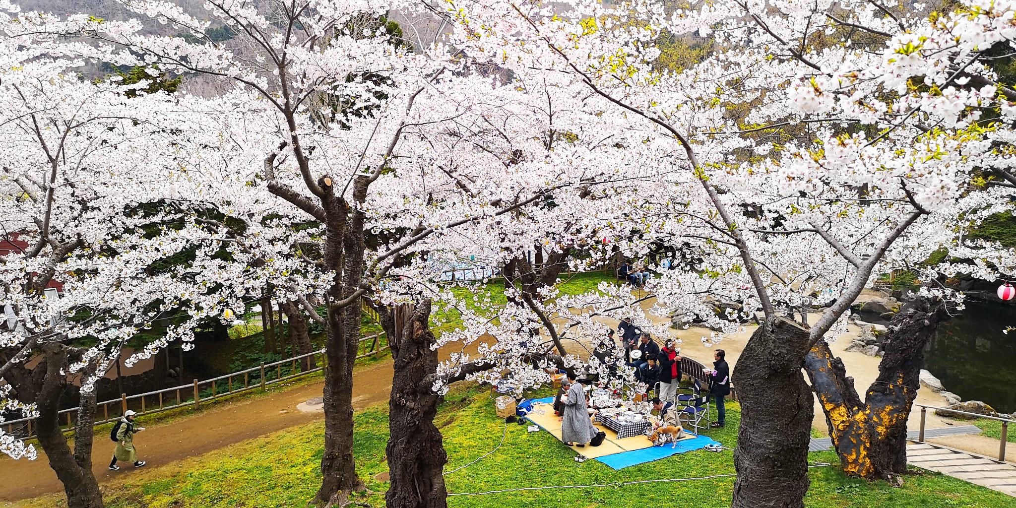 北海道自助遊攻略