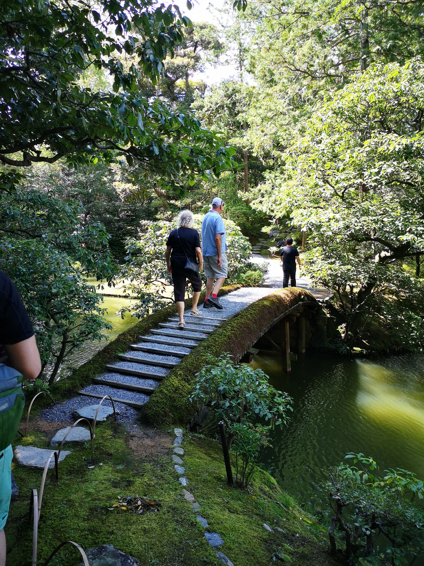 京都自助遊攻略