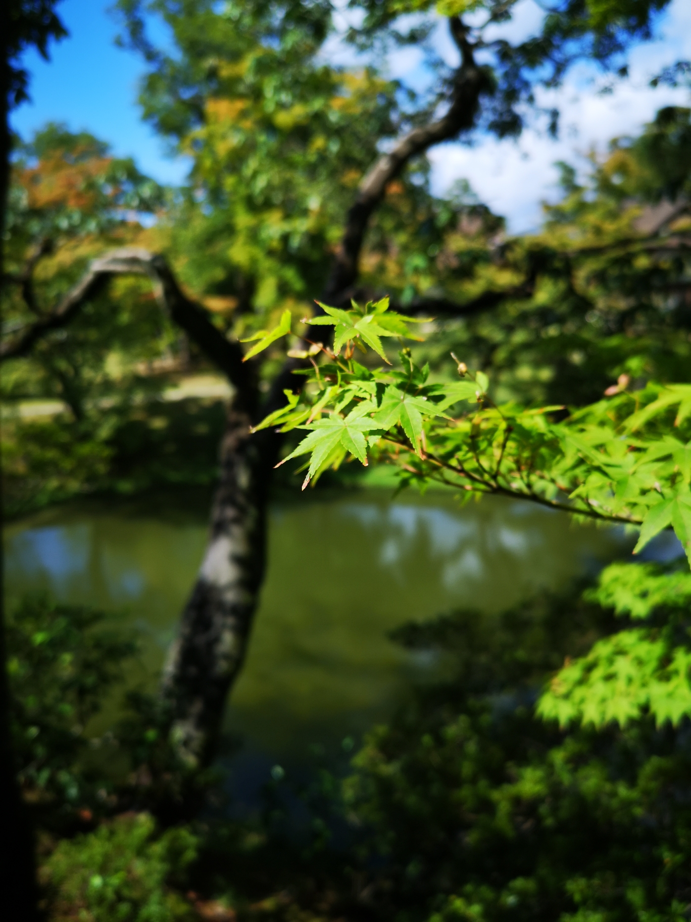 京都自助遊攻略