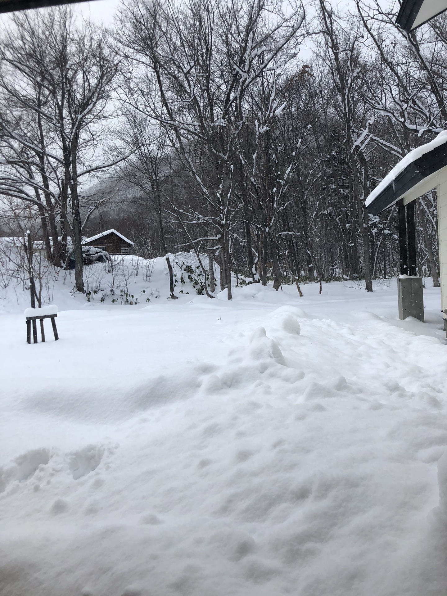 北海道自助遊攻略