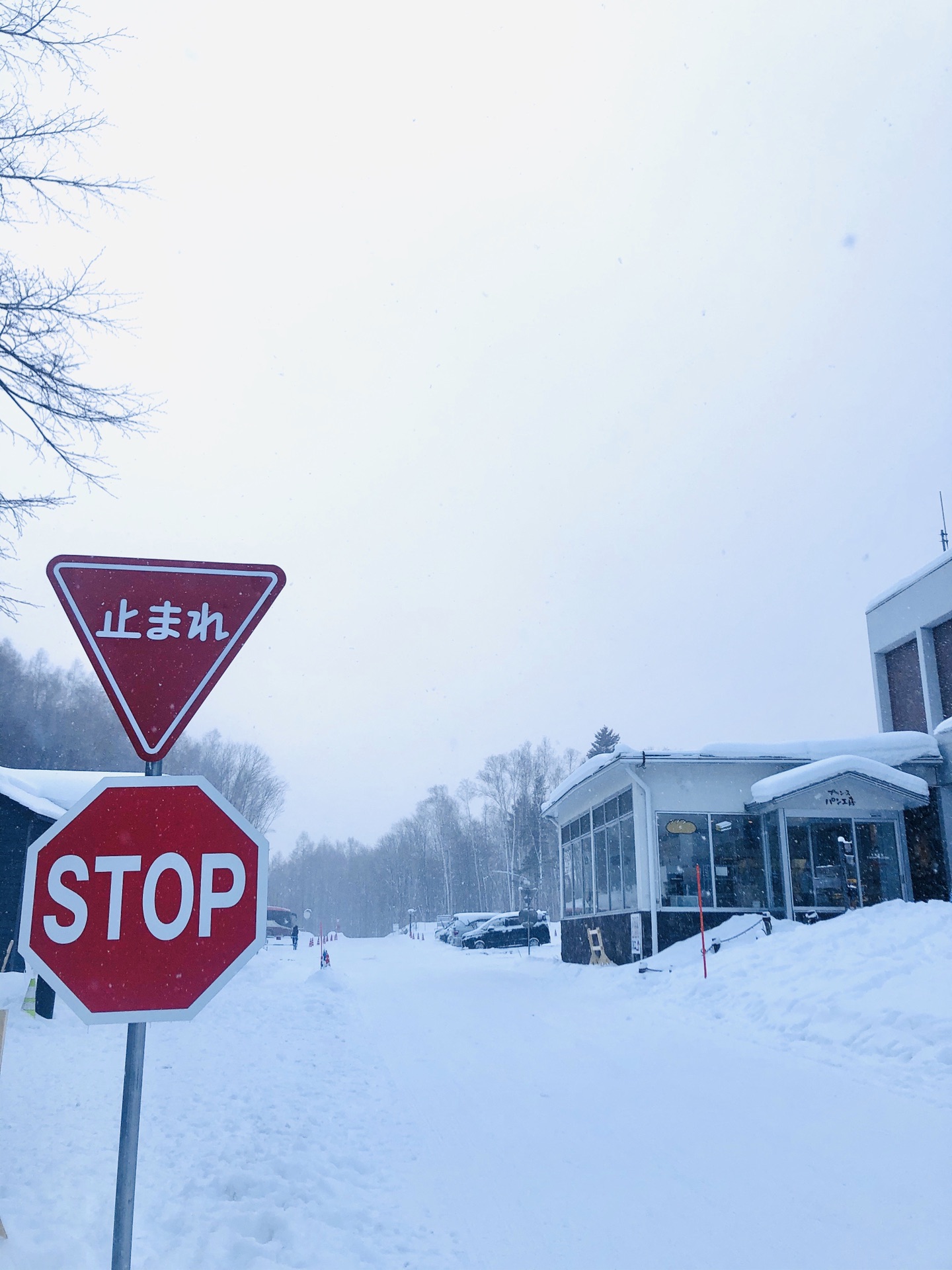 北海道自助遊攻略