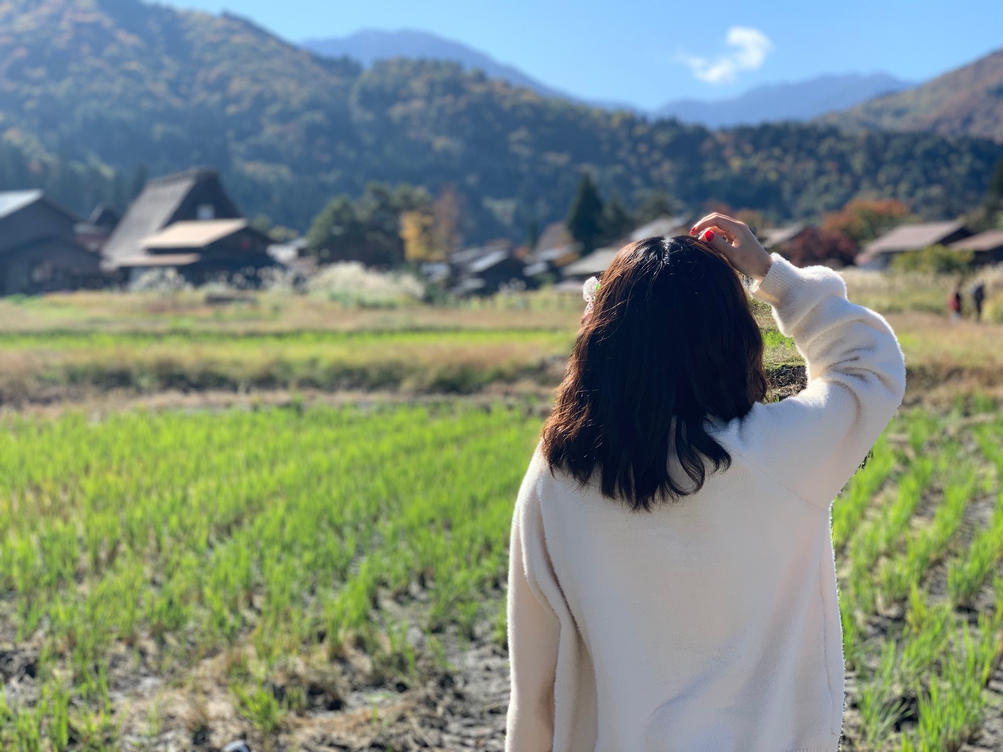 北海道自助遊攻略