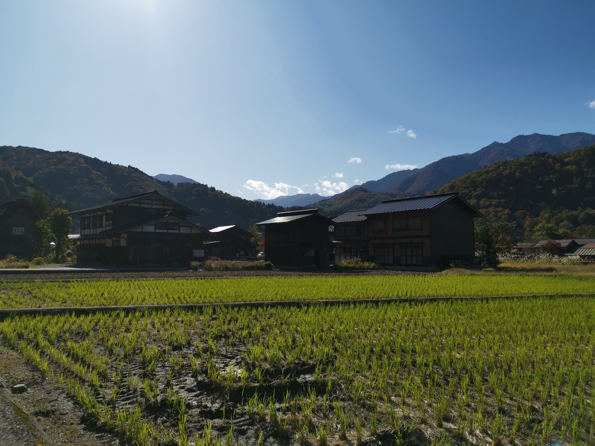 北海道自助遊攻略