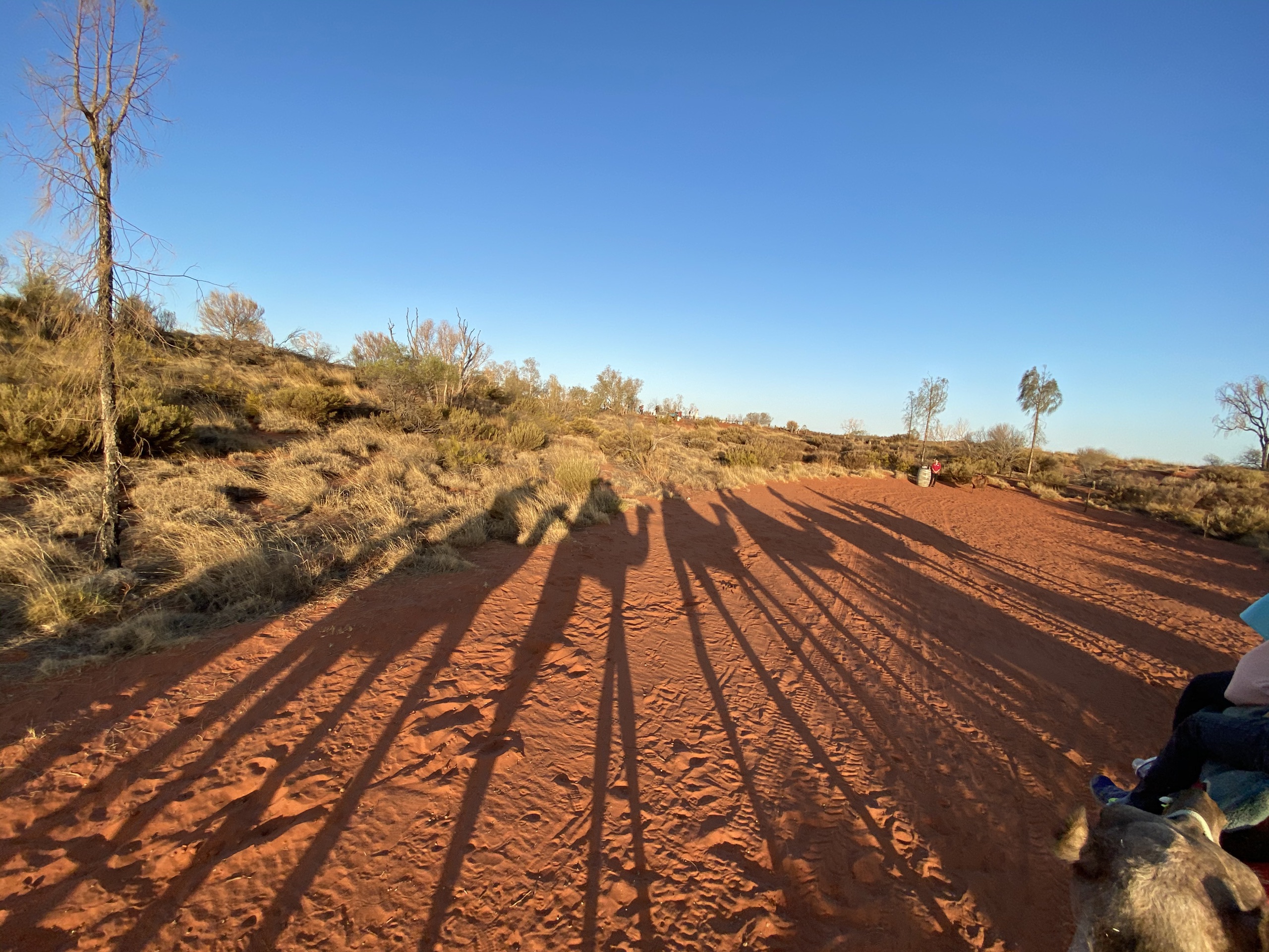 Anangu Uwankaraku Punu Aboriginal corporation