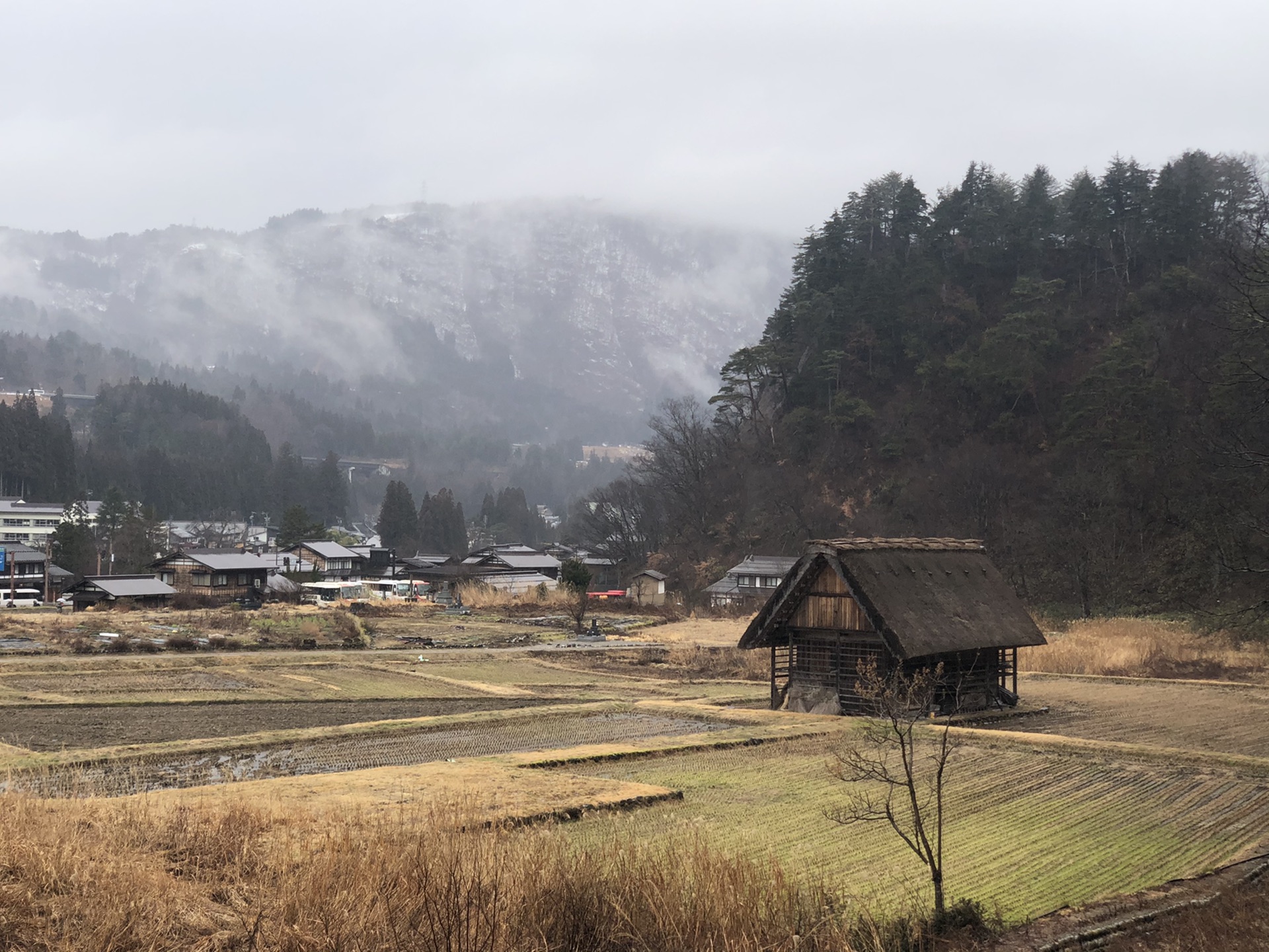 名古屋自助遊攻略