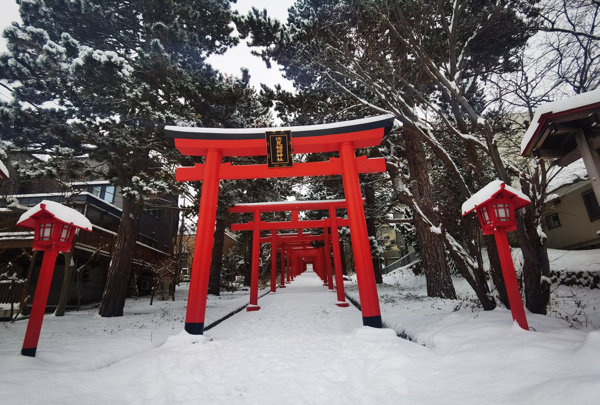 北海道自助遊攻略