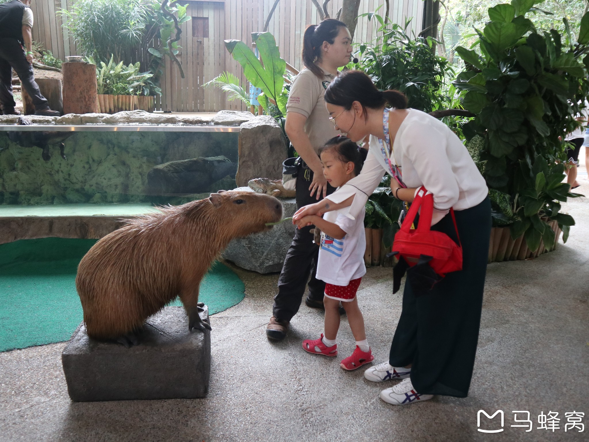 新加坡自助遊攻略