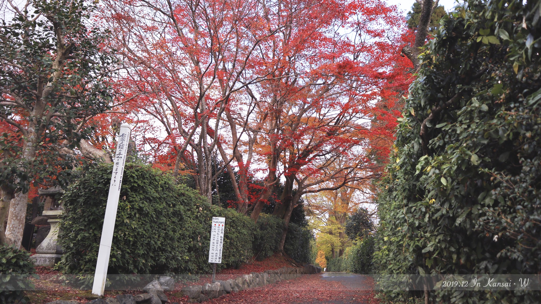 京都自助遊攻略