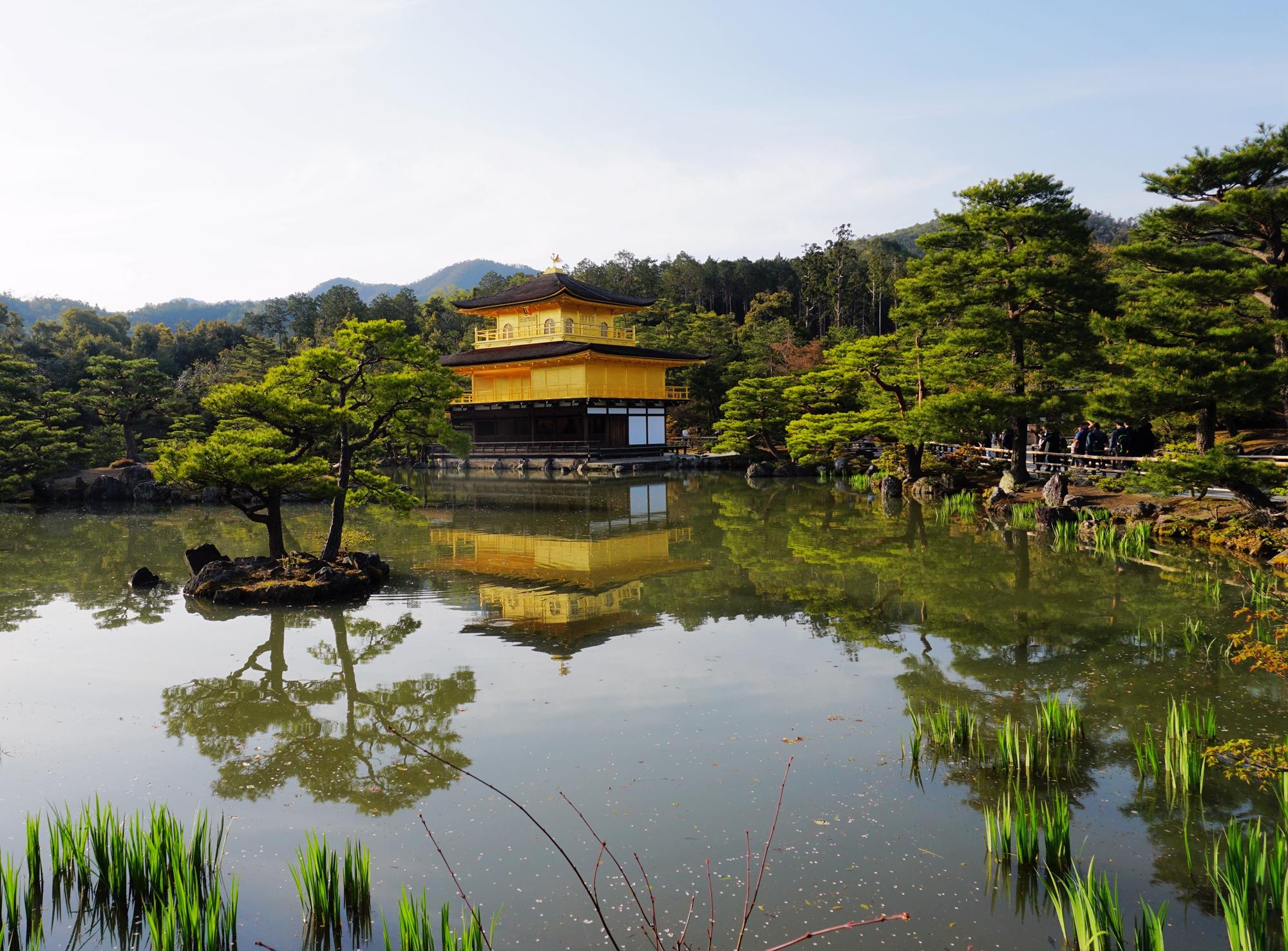 京都自助遊攻略