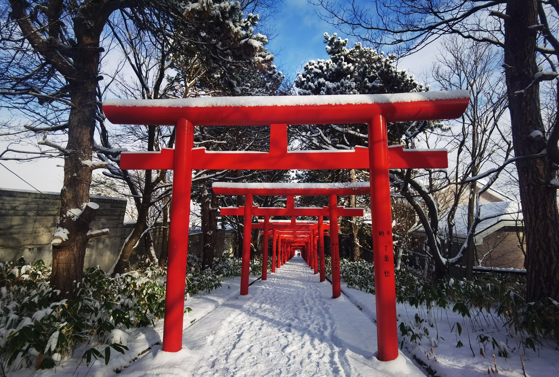 北海道自助遊攻略