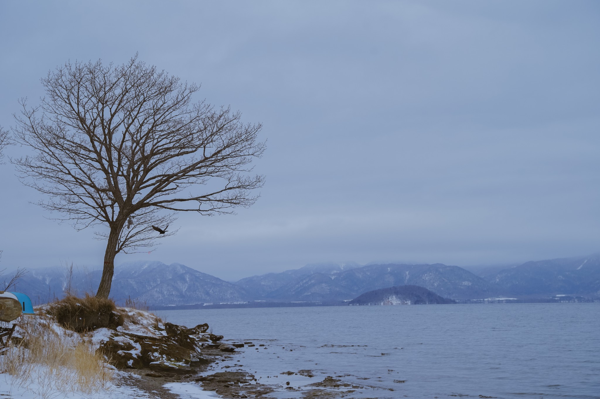 北海道自助遊攻略