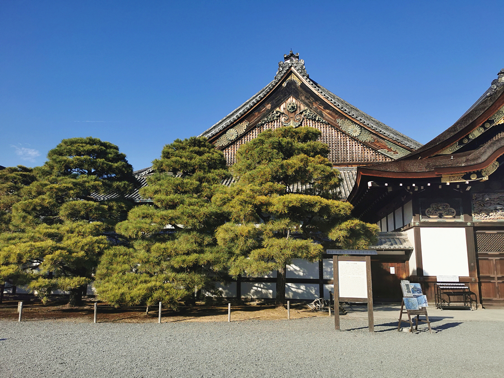 京都自助遊攻略