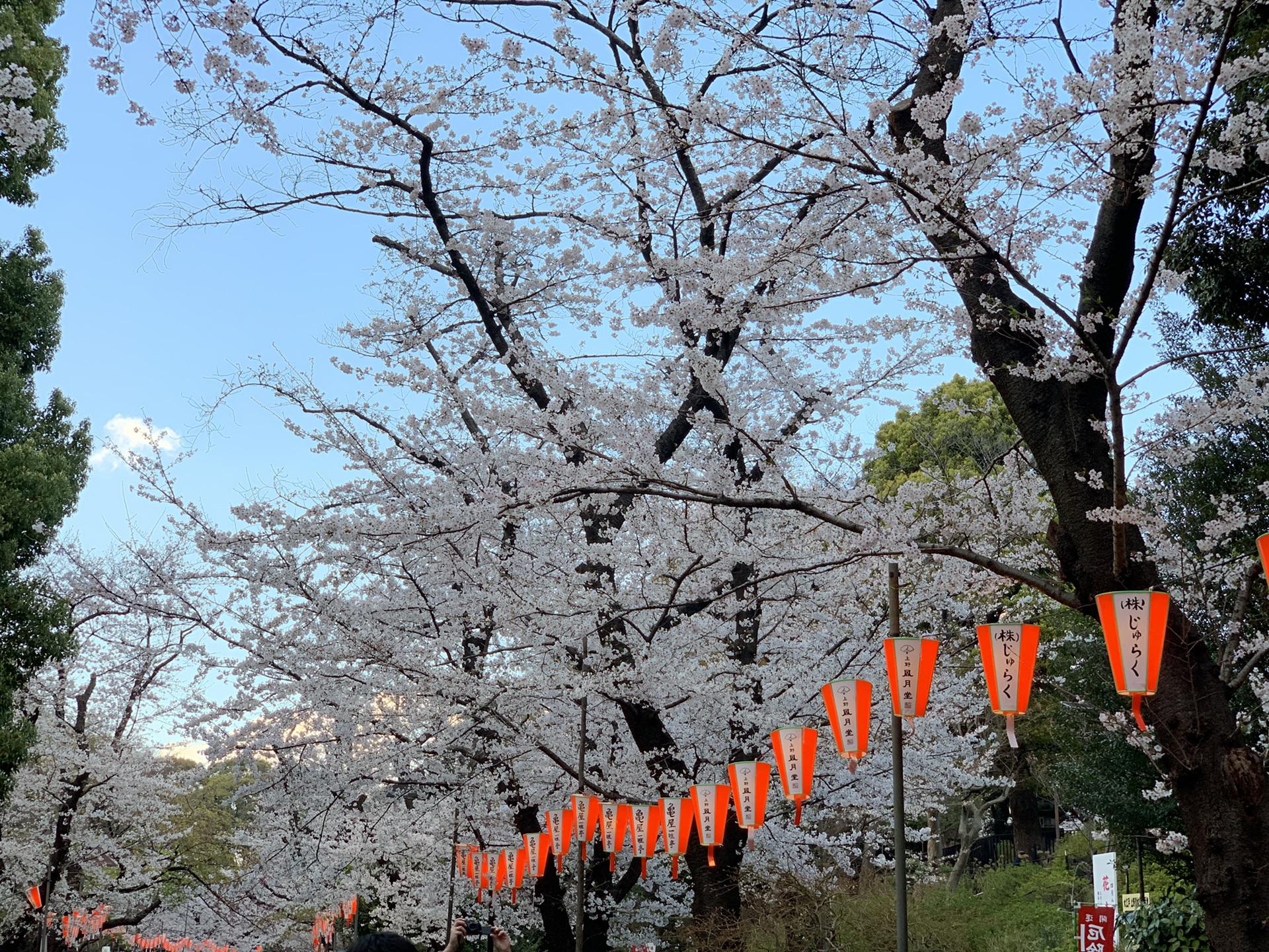 東京自助遊攻略